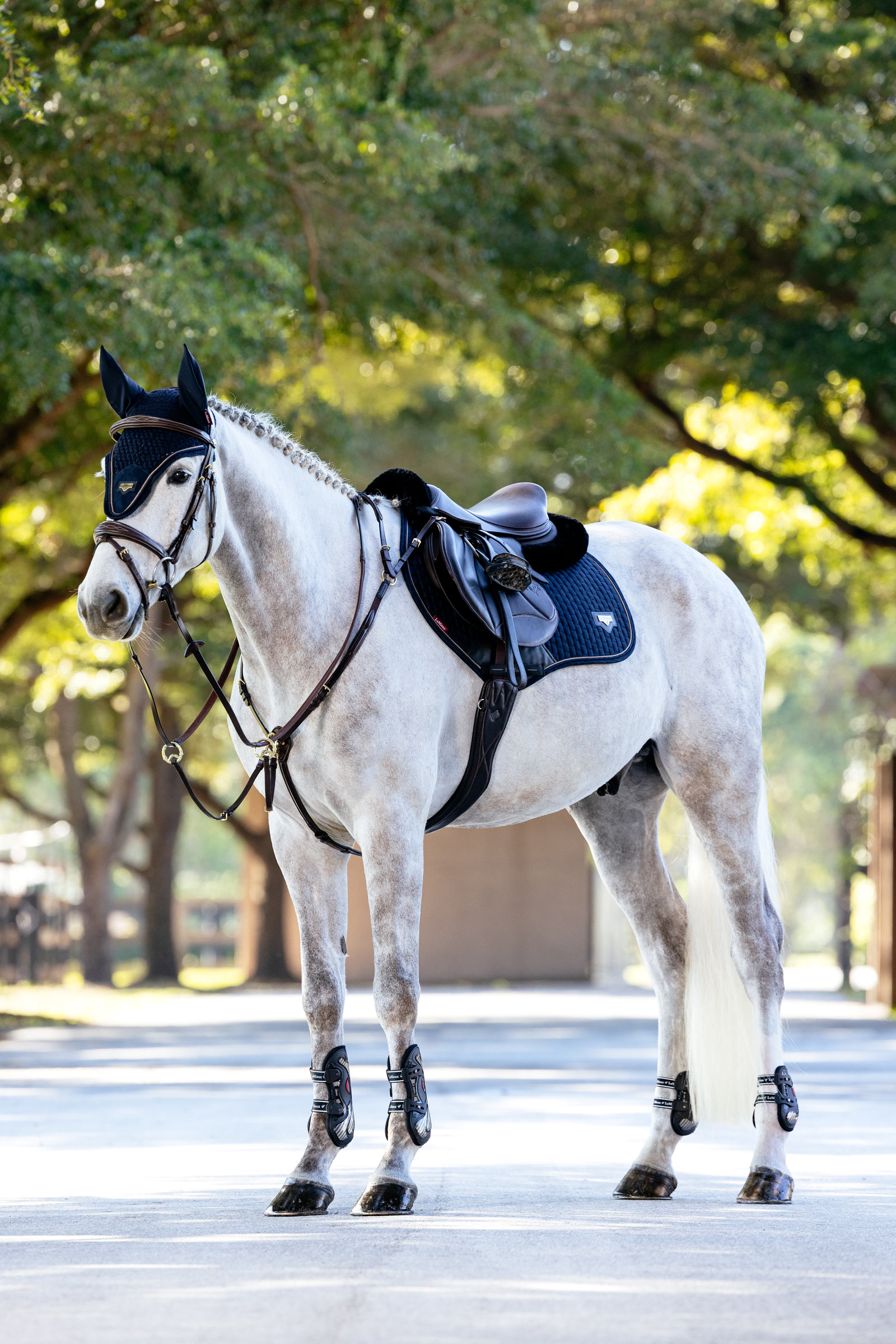 LeMieux Puissance Imitation Suede Close Contact Saddle Pad