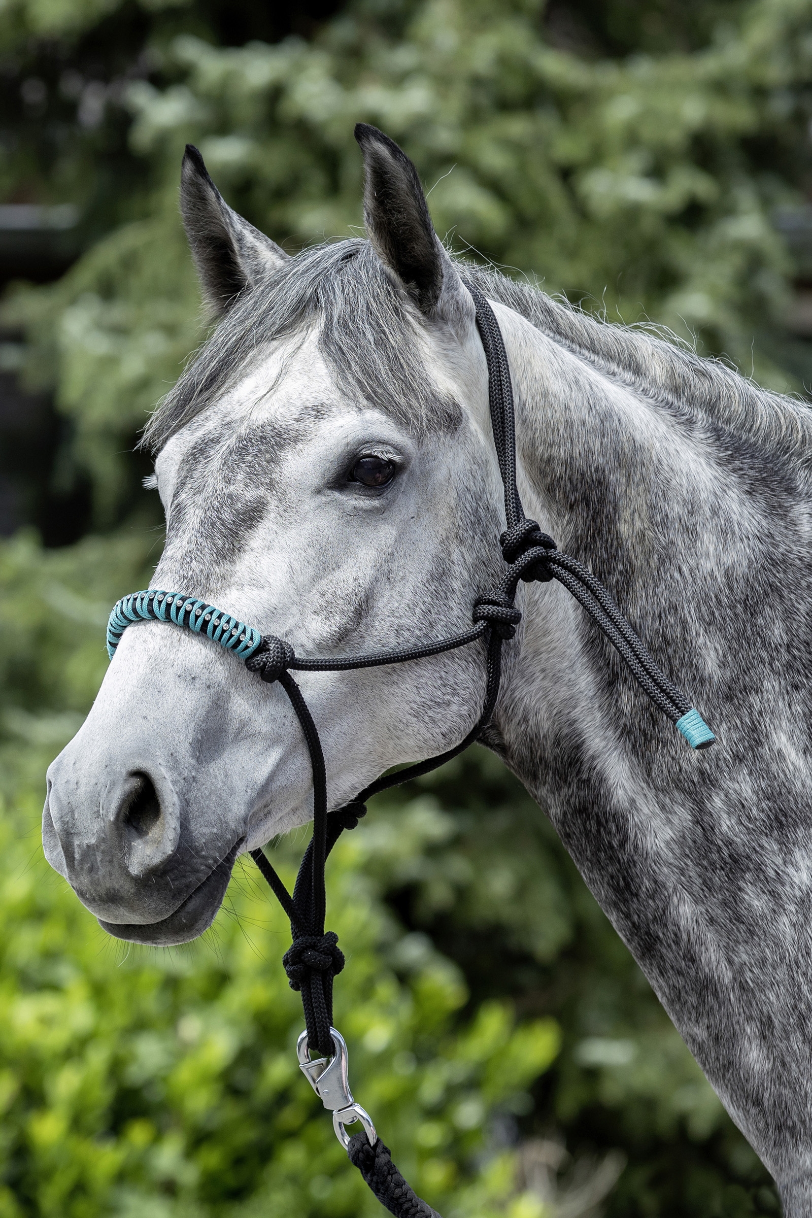 USG Knotted Rope Halter