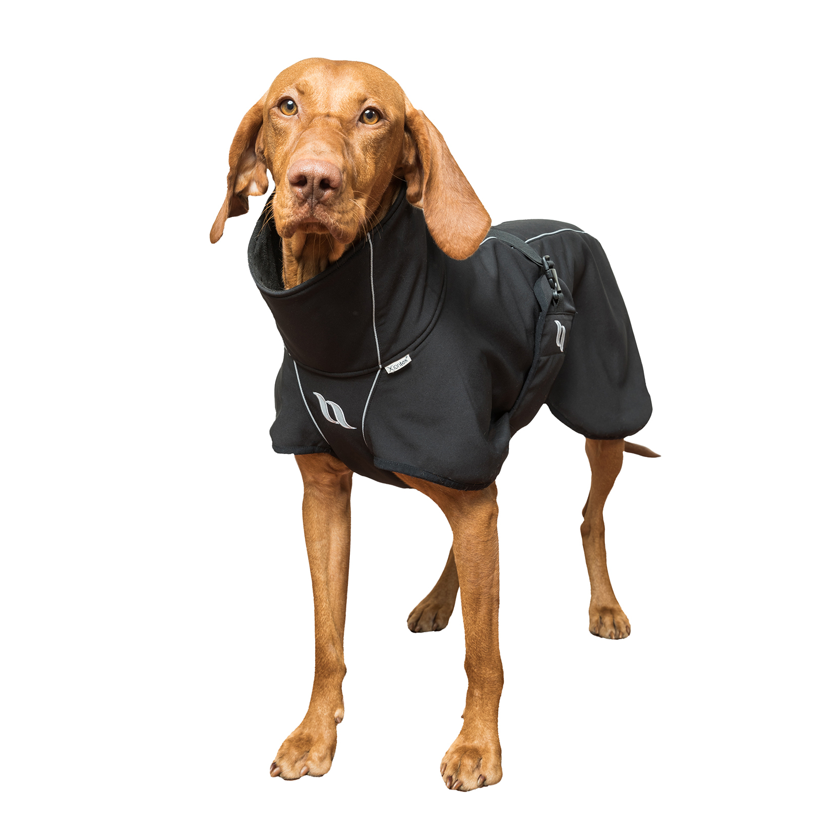 Back on Track Nella All-Round Dog Coat, 40-50cm