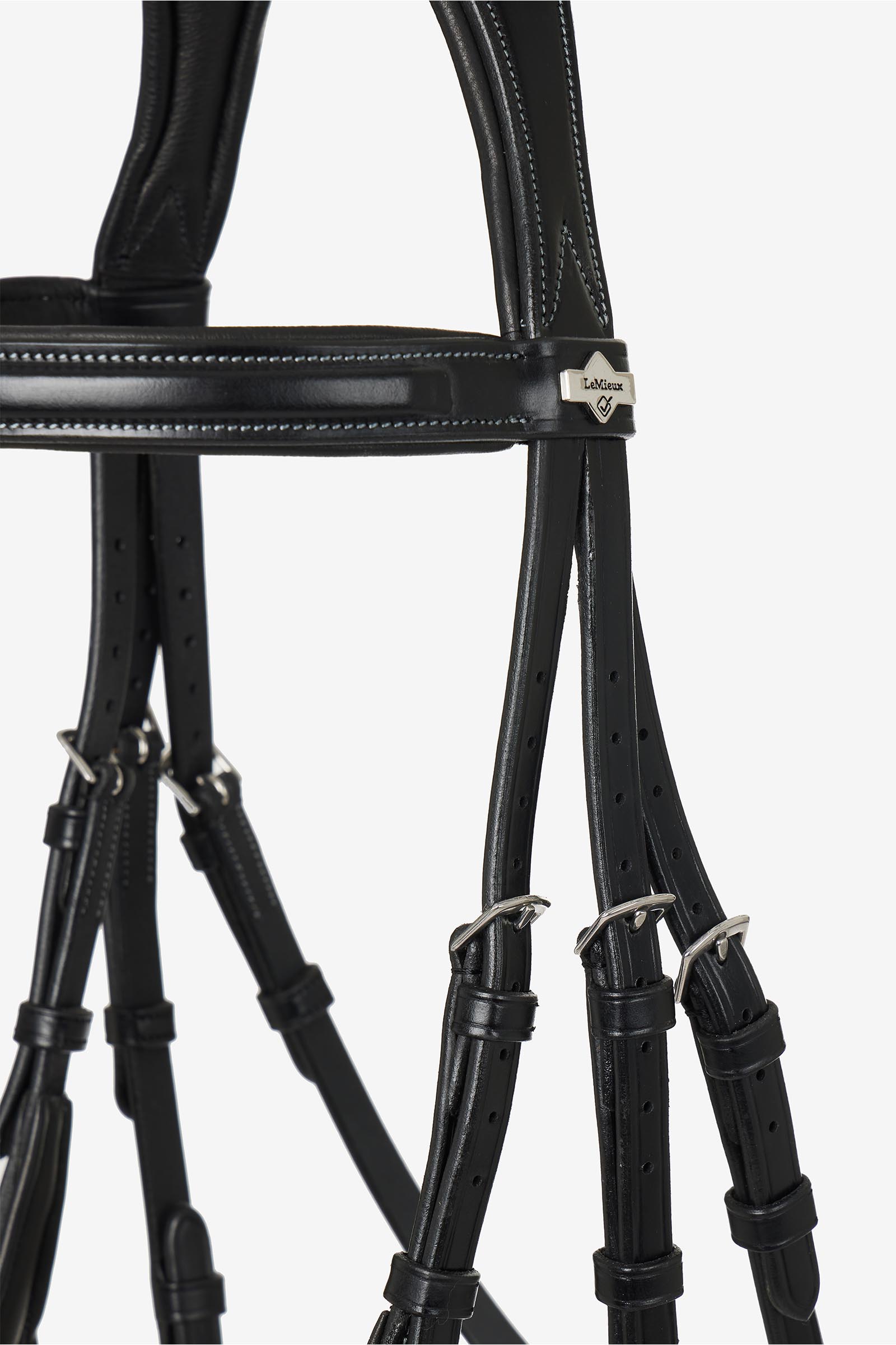 LeMieux Kudos Grackle Bridle