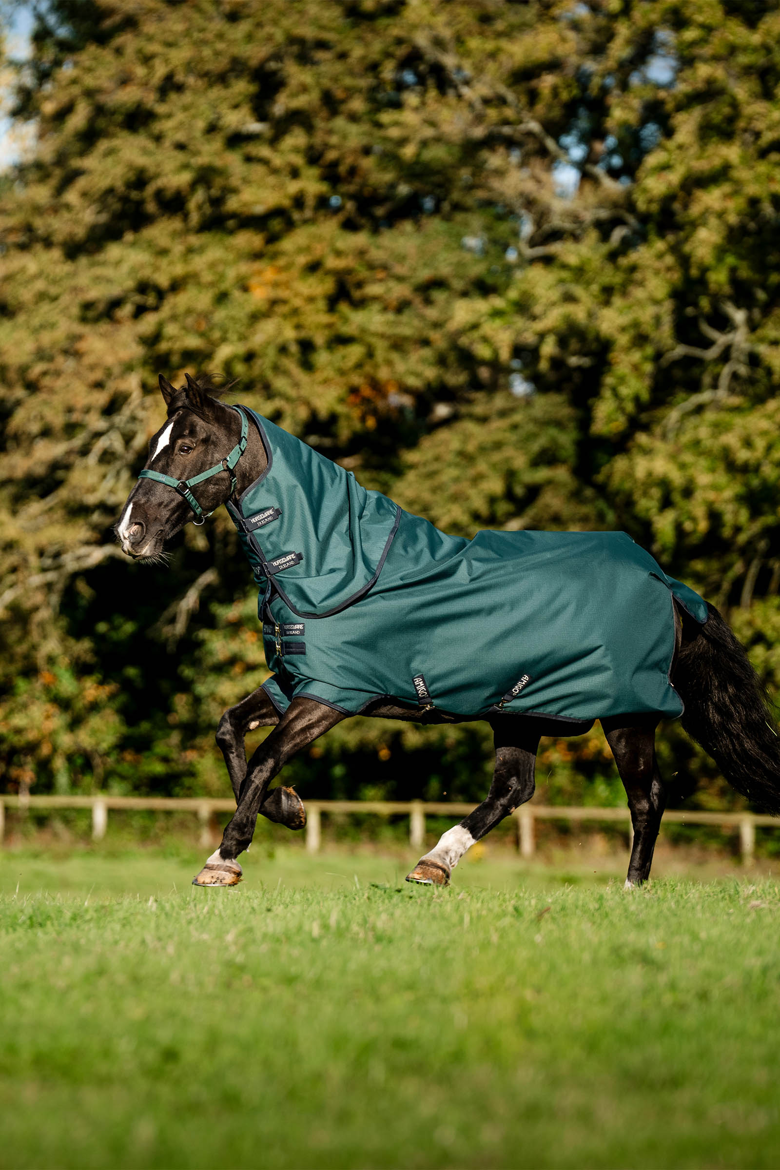 Horseware Amigo Ripstop 900D Plus Turnout Rug, 100 g