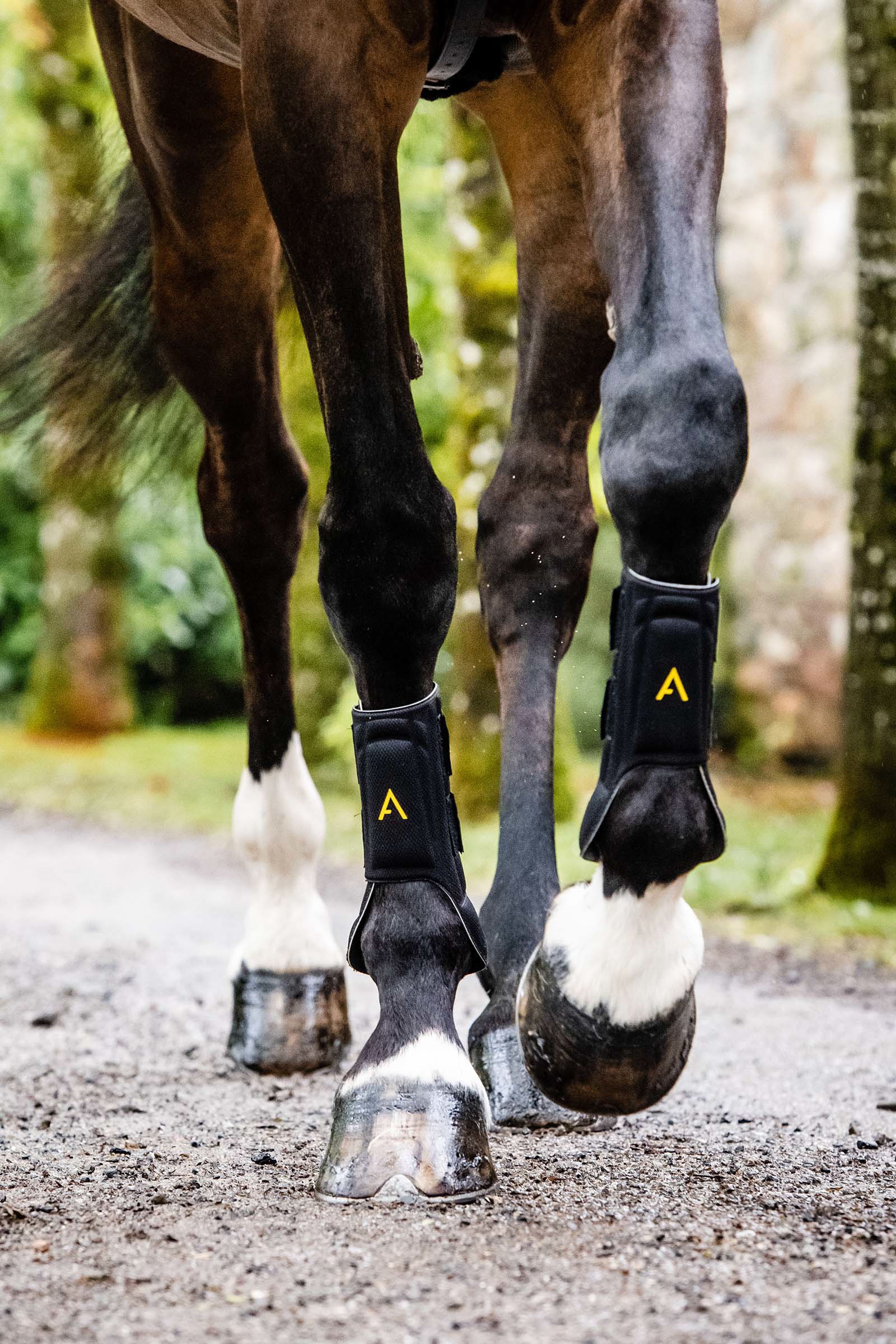 Horseware Adagio Boot