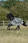 Bucas Buzz-Off Zebra Fly Rug with Detachable Full Neck