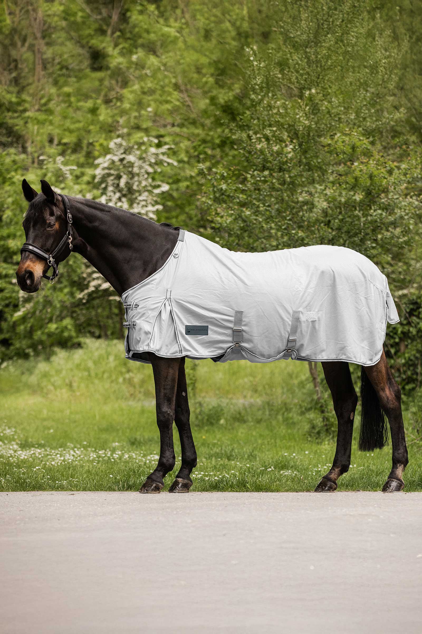 Waldhausen Protect Fly Rug