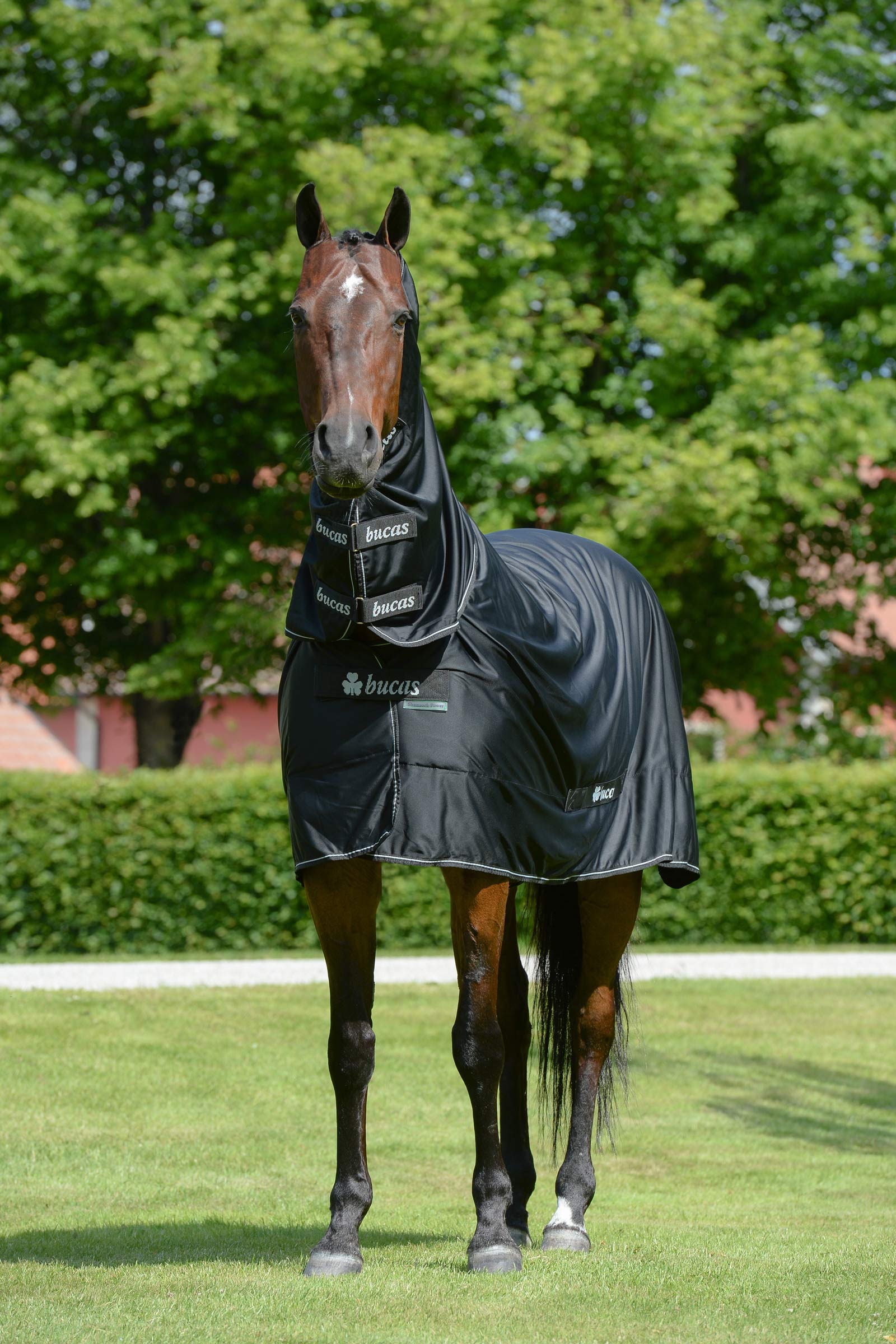 Bucas Shamrock Power Rug with Full Neck