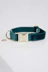 Kentucky Dogwear Dog Collar Velvet