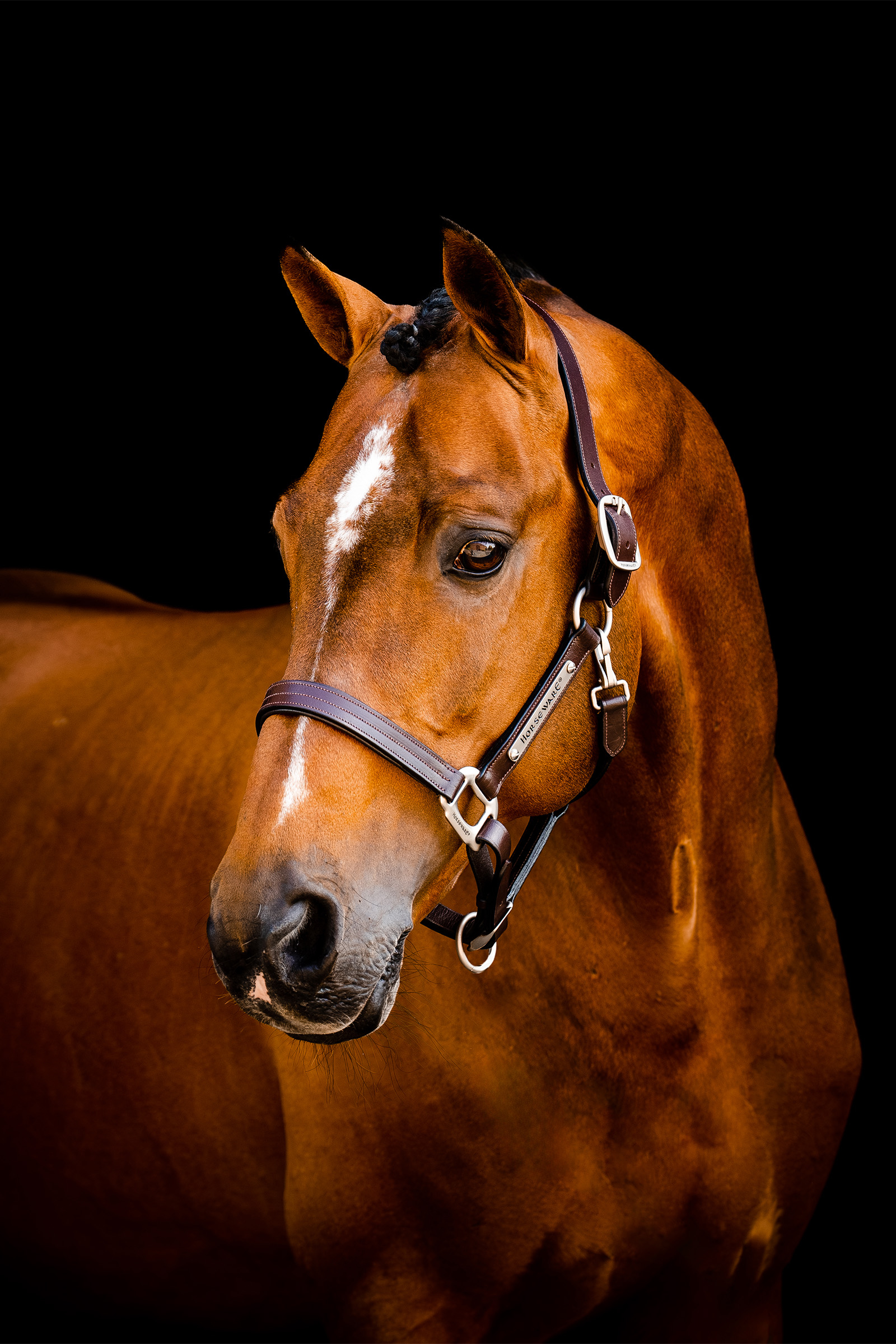 Horseware Signature Leather Headcollar