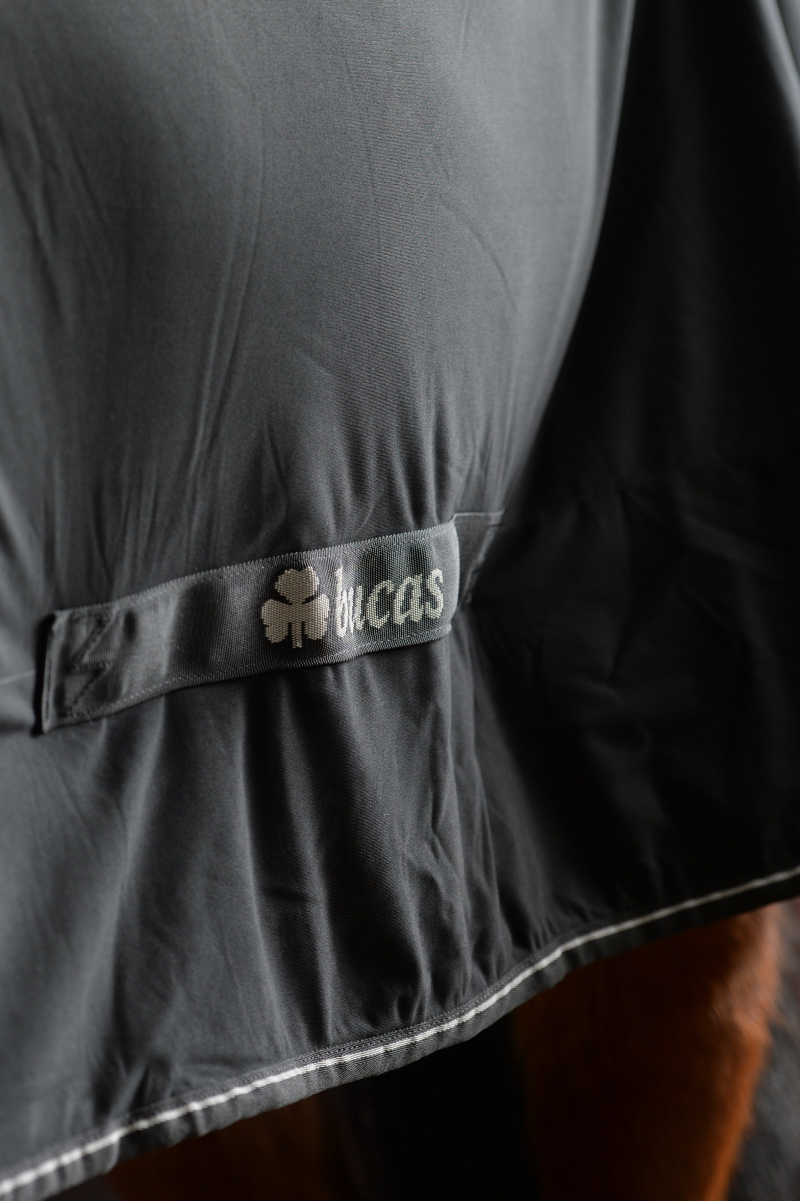 Bucas Shamrock Power Rug