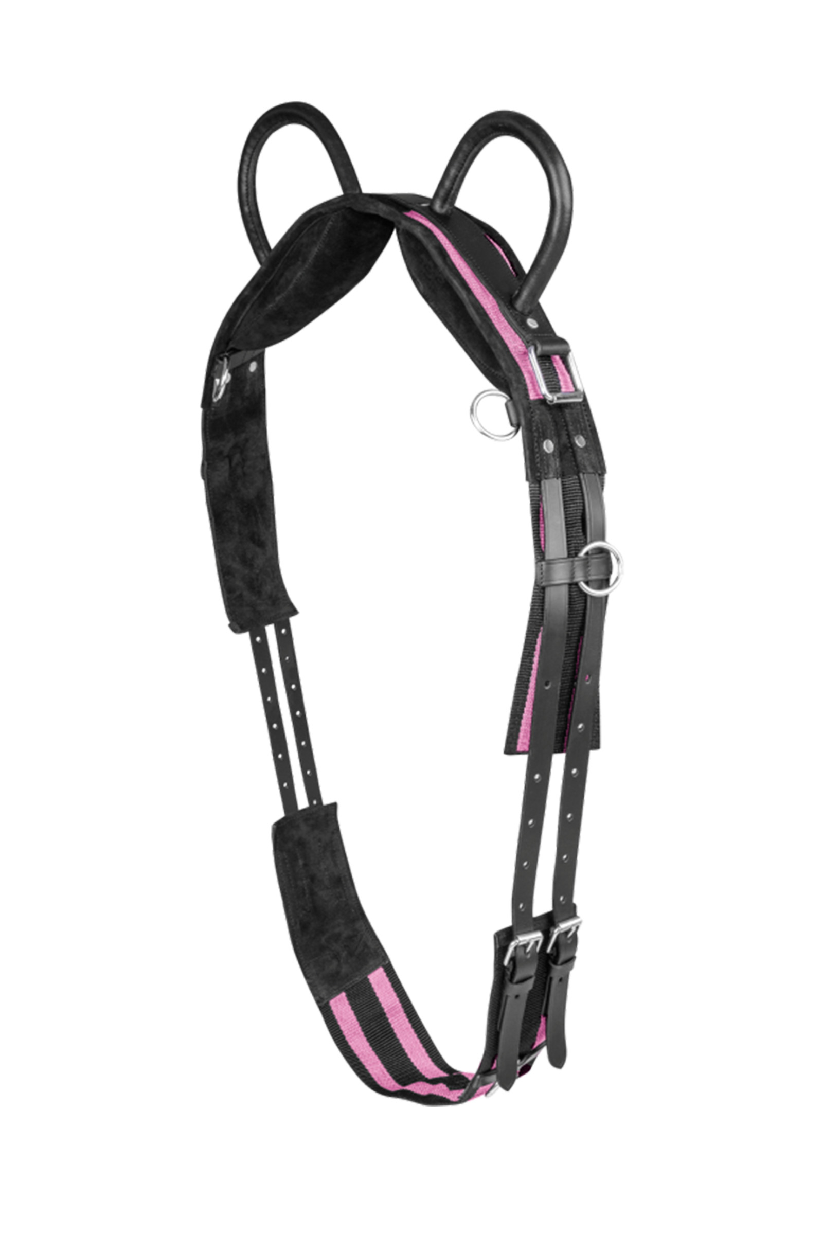 Waldhausen Surcingle with two handles