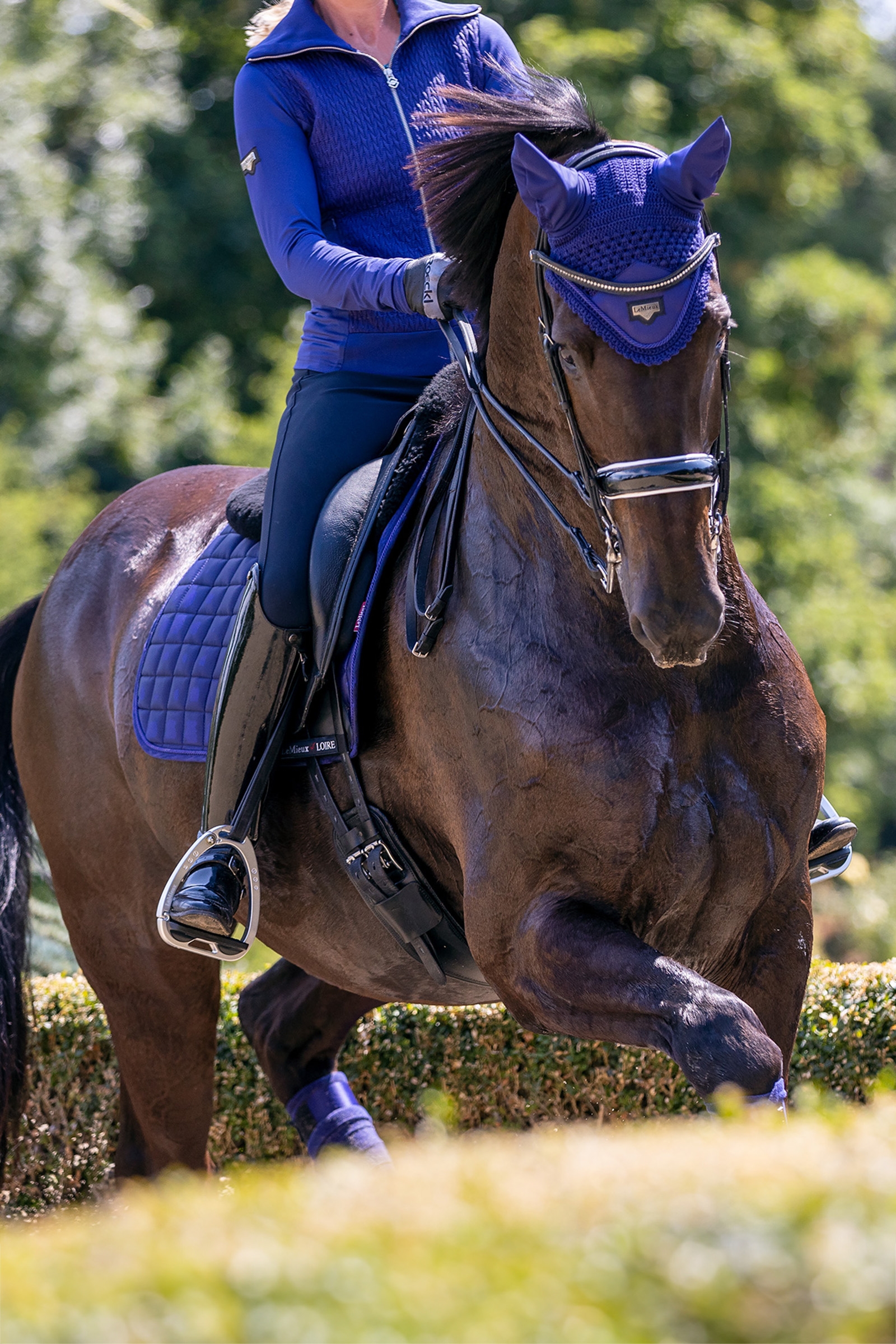 LeMieux Loire Fly Hood