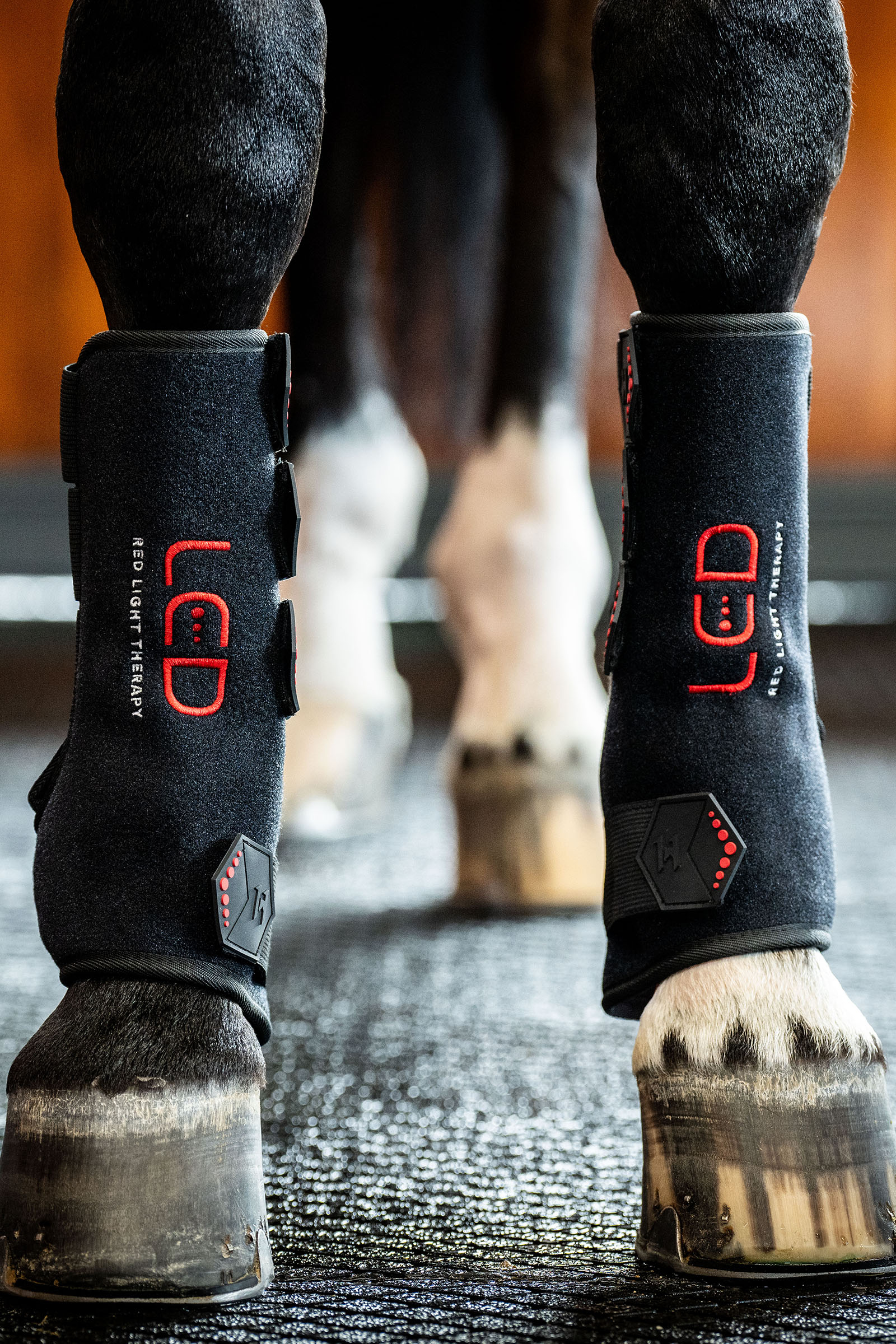 Horseware LED Red Light Therapy Leg Wrap (1 pc.)