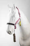 Horze Graffiti Pony Halter & Lead Rope Set