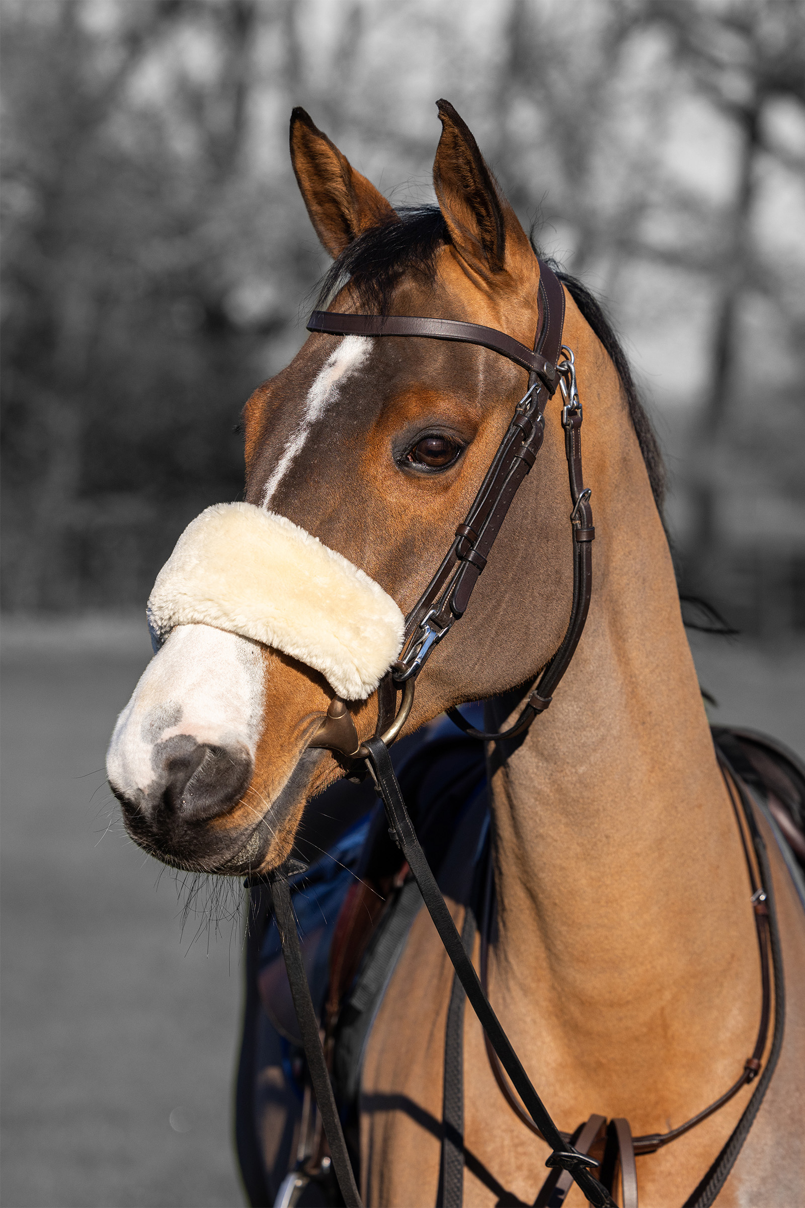 LeMieux Simuwool Noseband Cover
