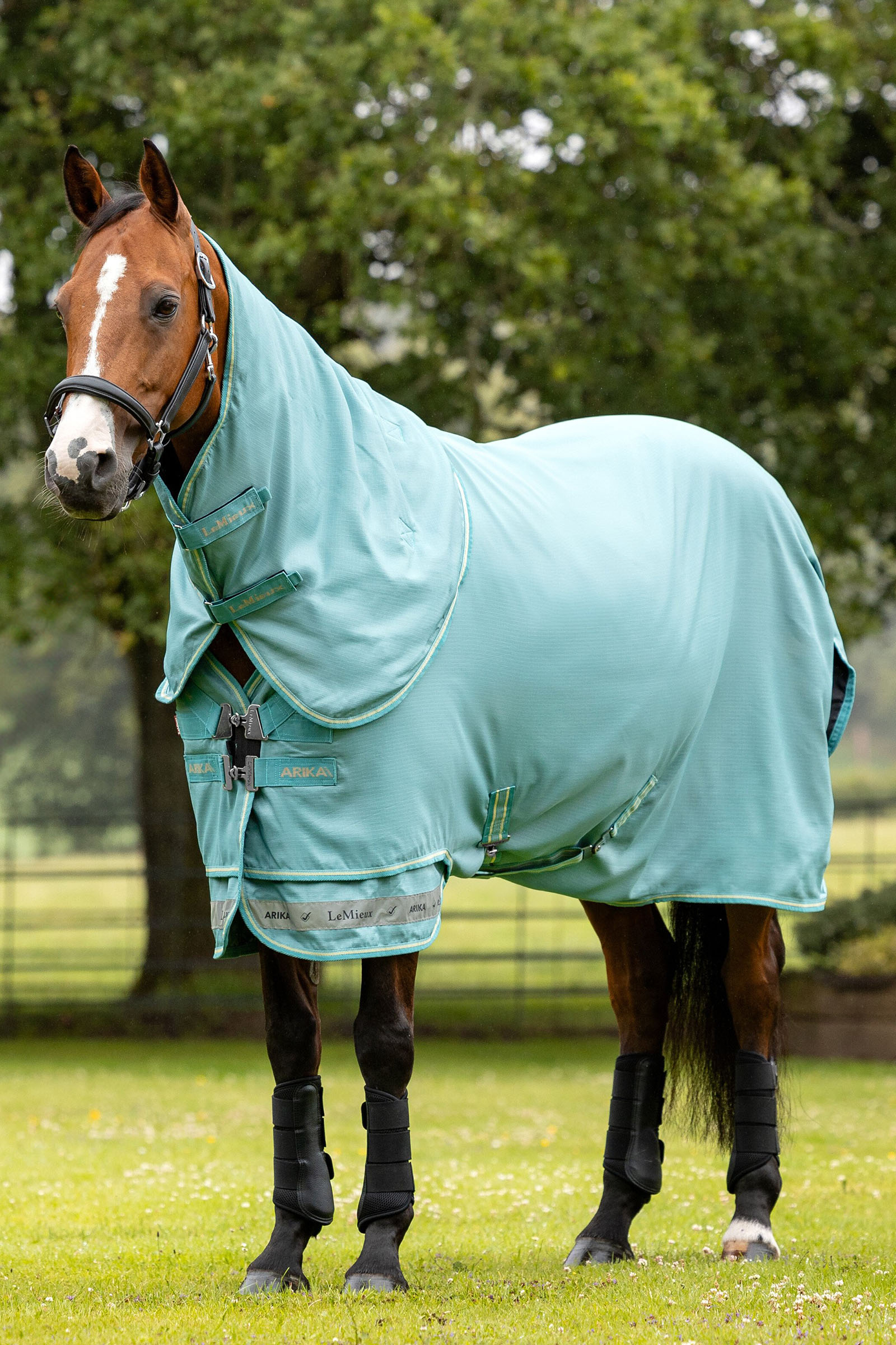 LeMieux Arika 600D Turnout Rug With Detachable Neck Part, 0g
