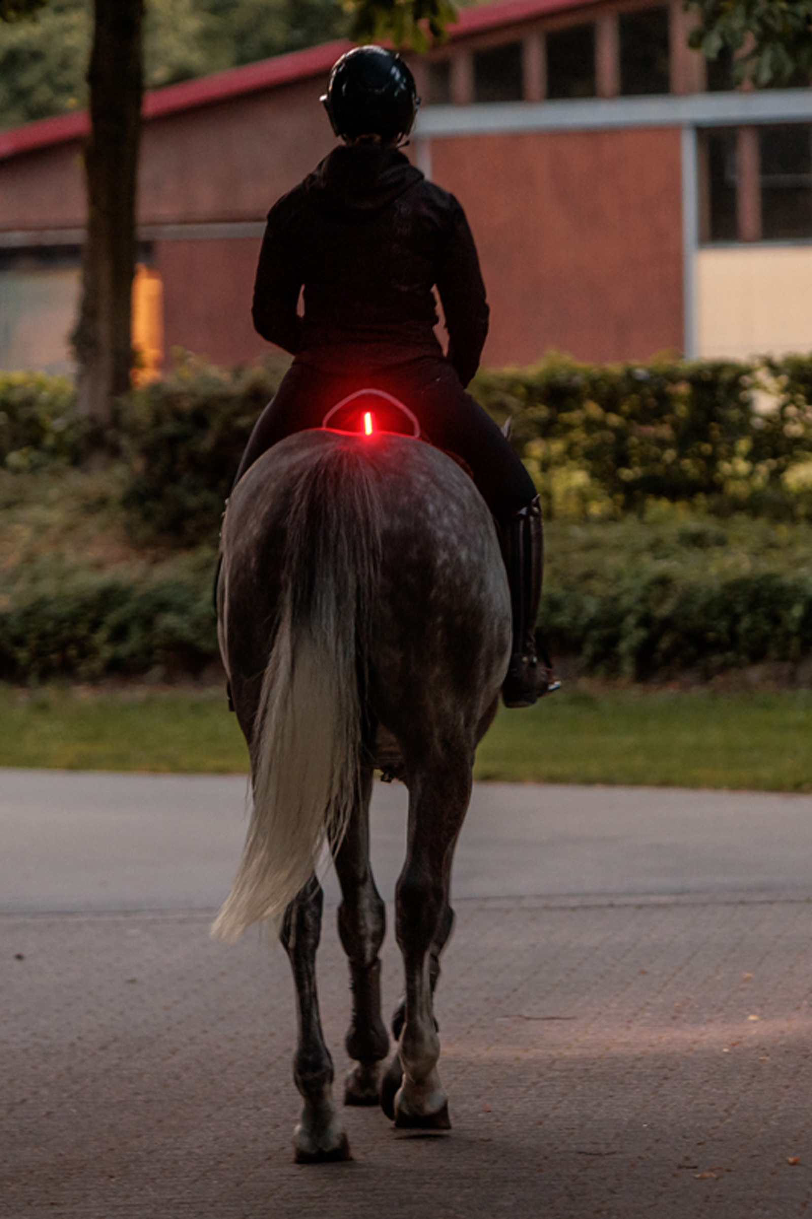 Kavalkade Horselight Red Rear Light For Saddle
