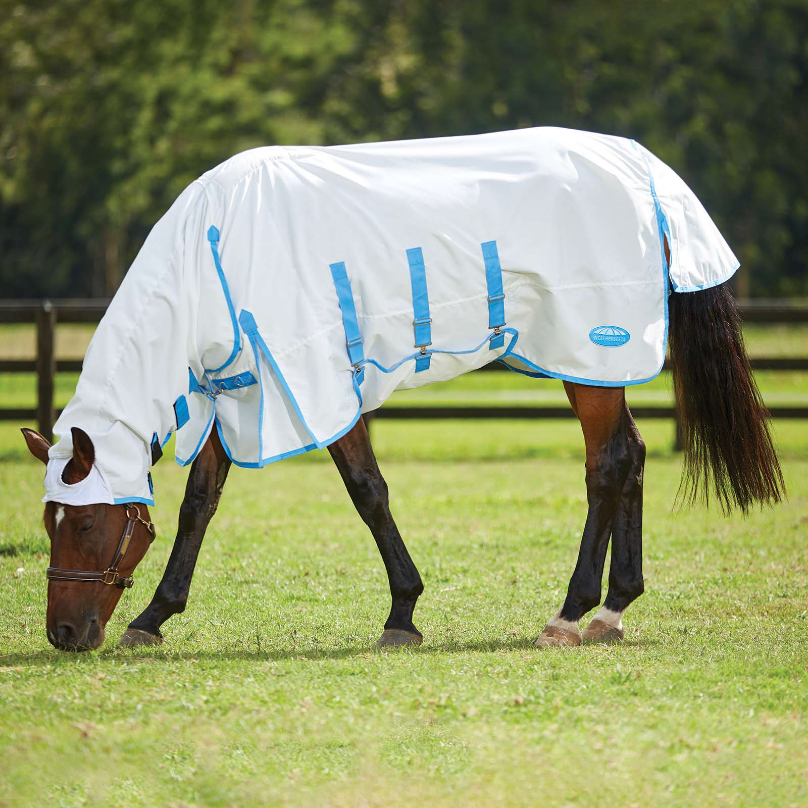 Weatherbeeta Comfitec Sweet Itch Shield Rug With Fixed Neck