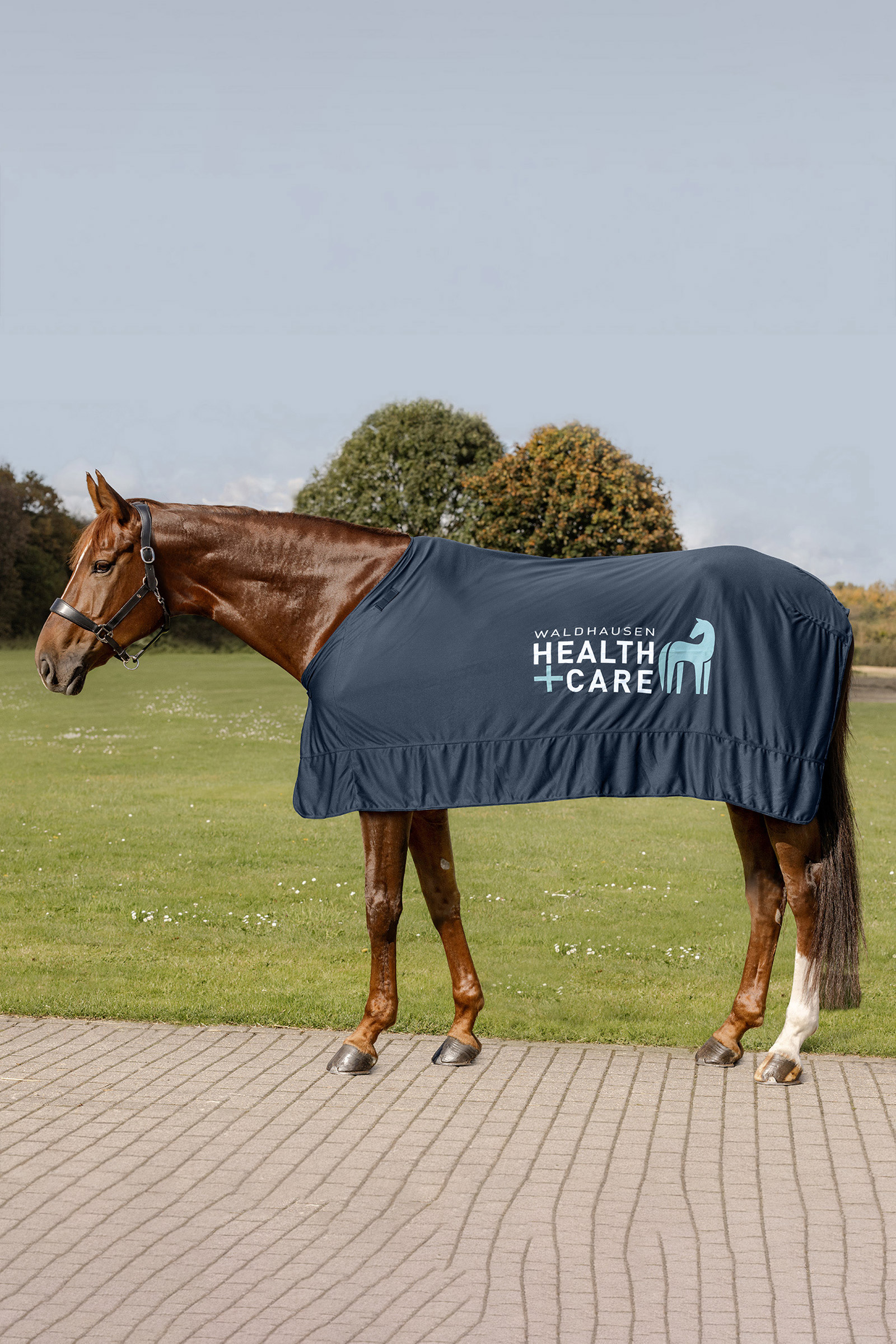 Waldhausen Health & Care Ice Layer Rug