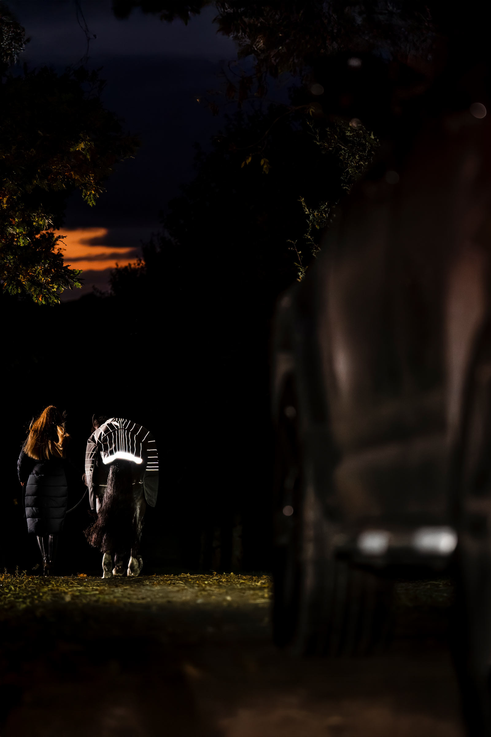 Horseware Amigo 1200D FieldSafe Reflectech Plus Turnout Rug, 250 g