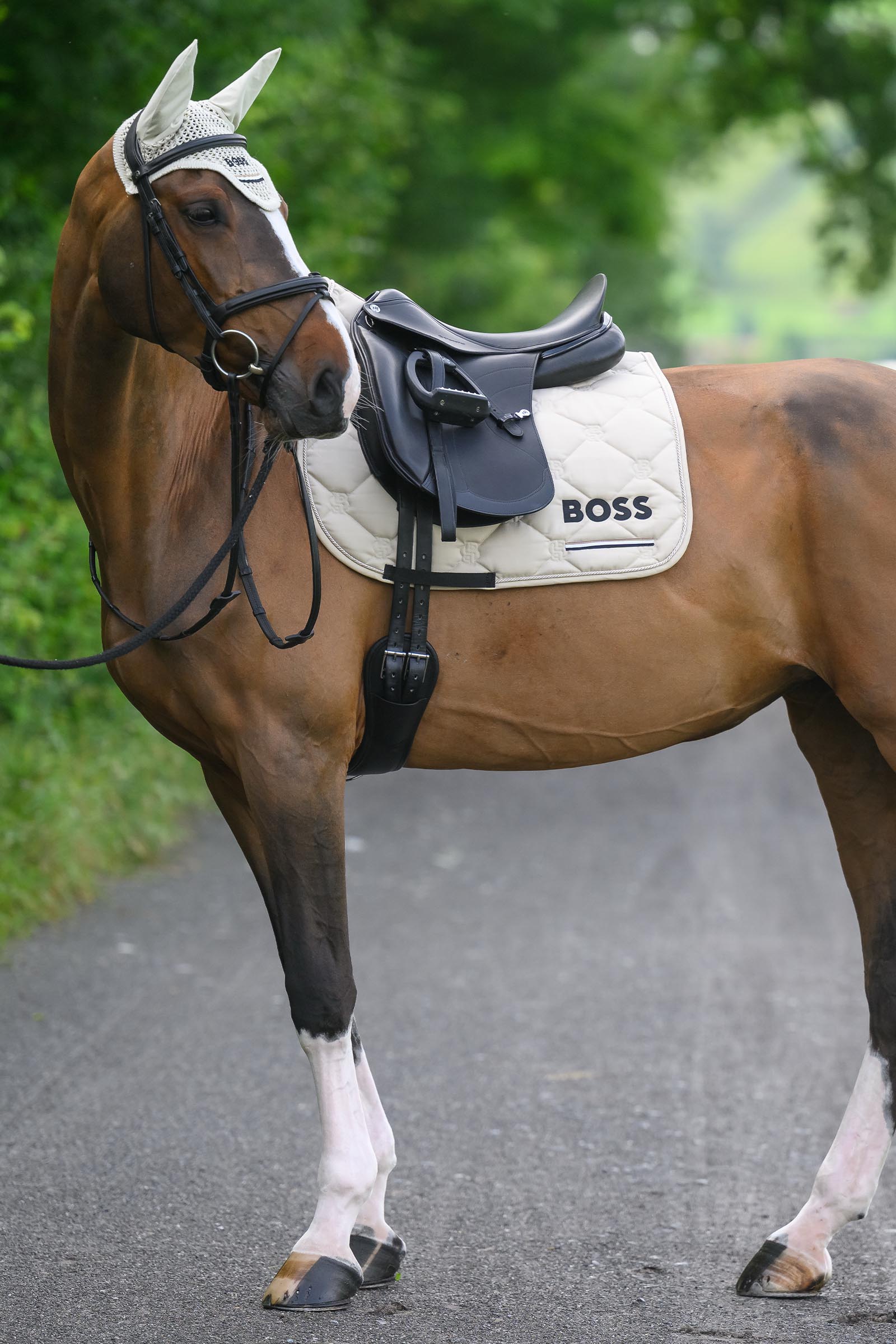Boss Cambridge Dressage Saddle Pad