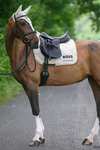 Boss Cambridge Dressage Saddle Pad
