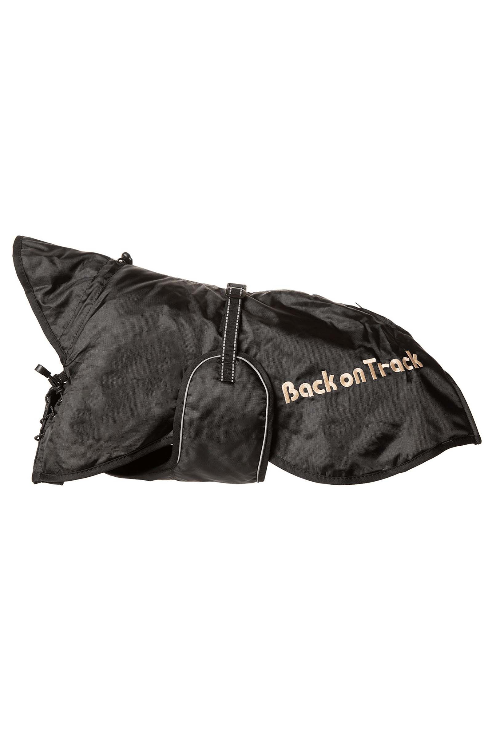 Back on Track Dog Rug 21-40