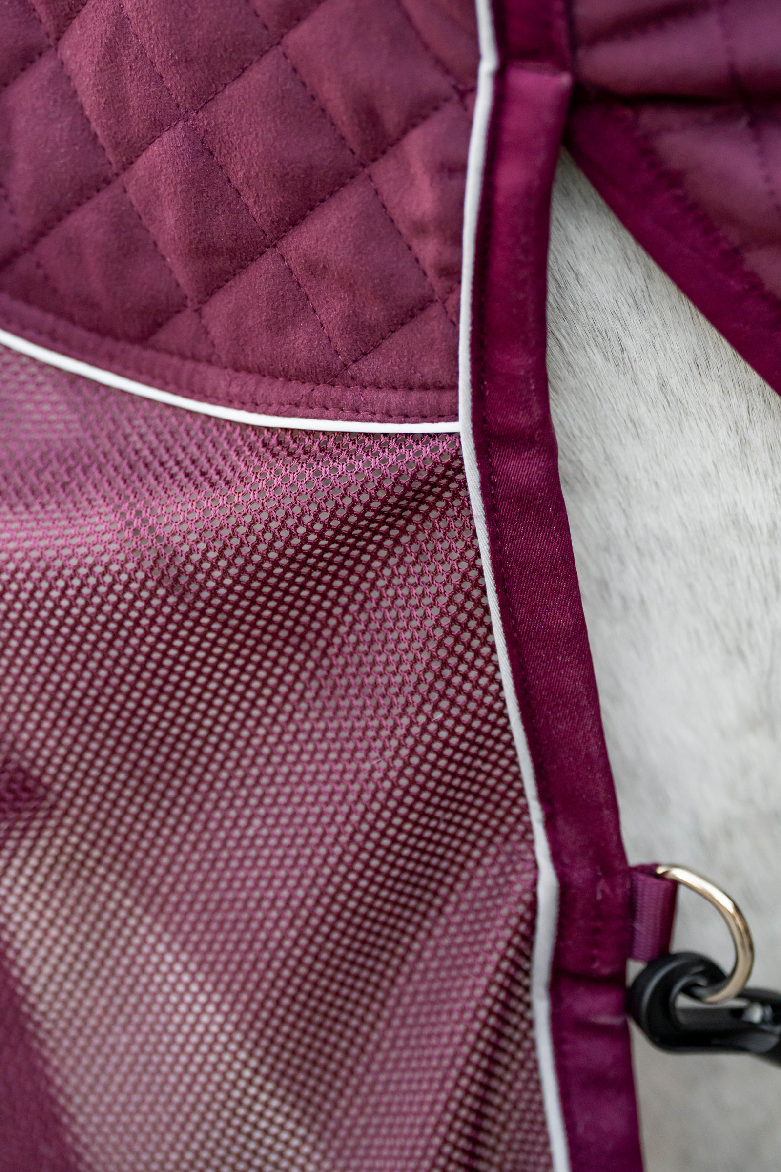 Horseware Signature Travel Cooler