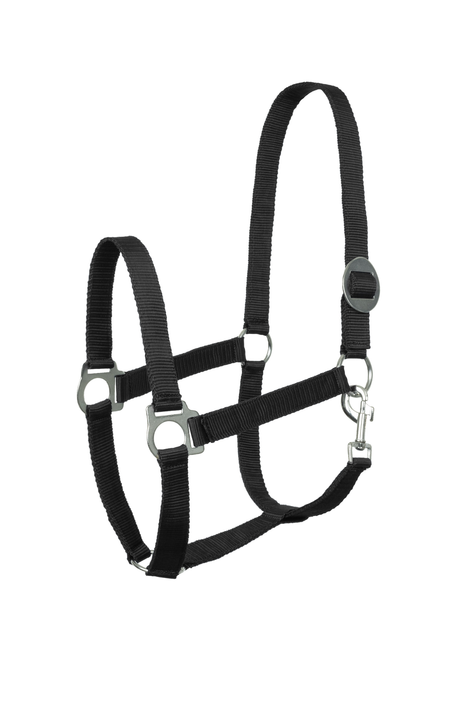 Horze Basic Halter