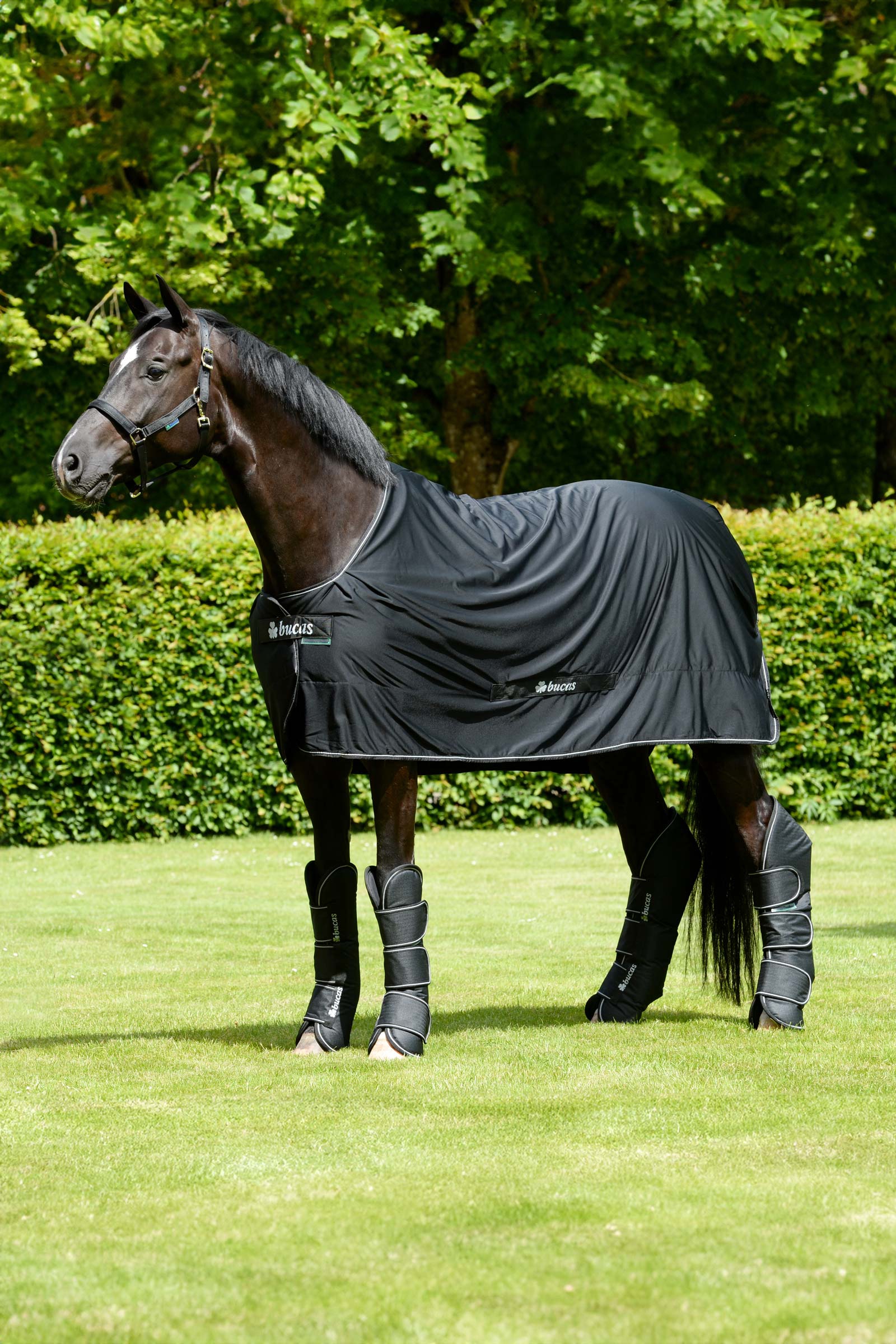 Bucas Freedom Travel Boots