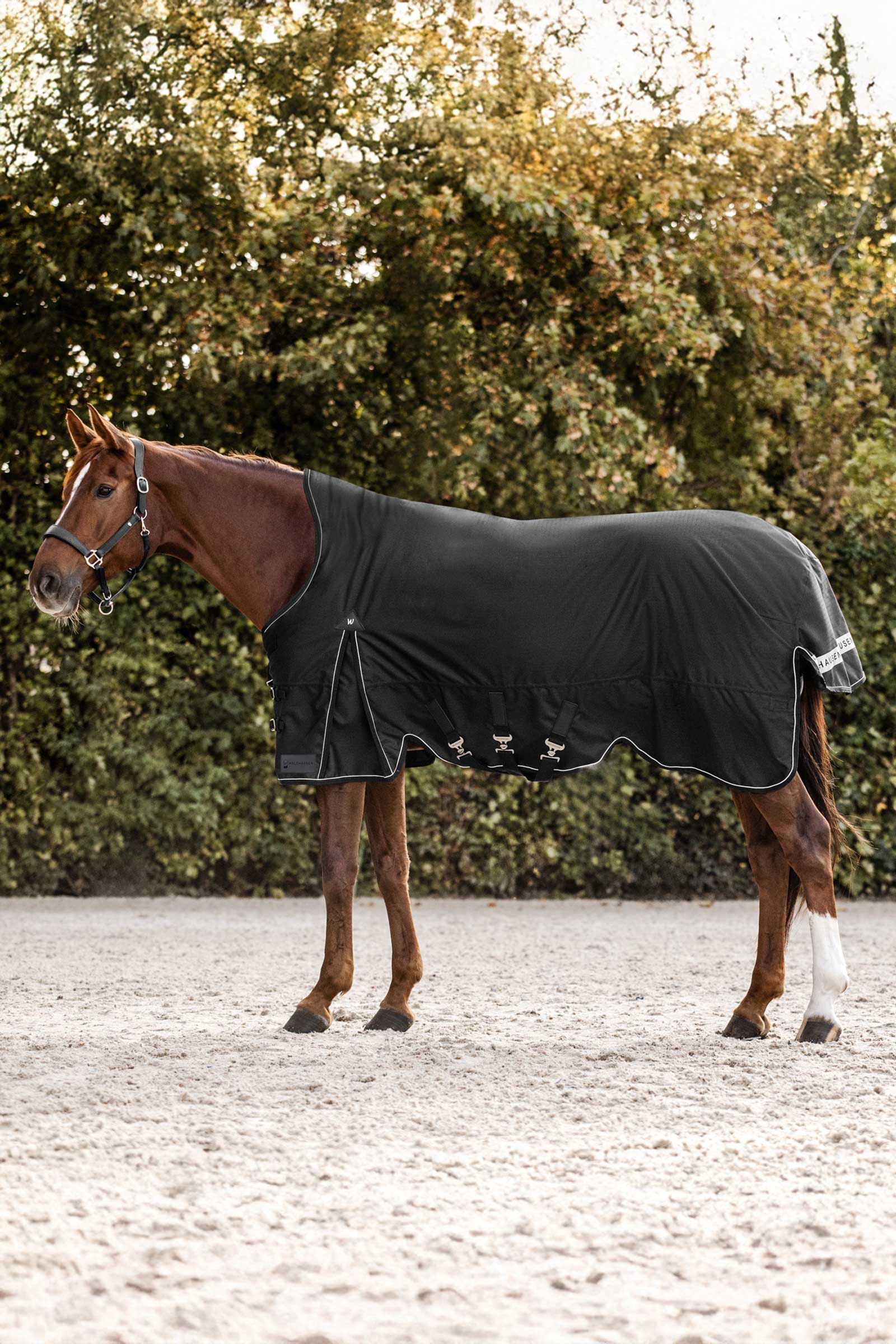 Waldhausen Scandic Turnout Rug With High Neck, 200g