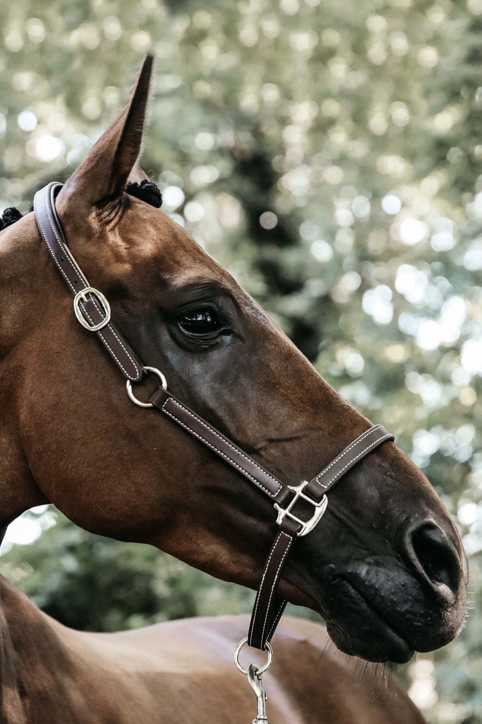 Kentucky Horsewear Flexible Leather Halter Neck Piece