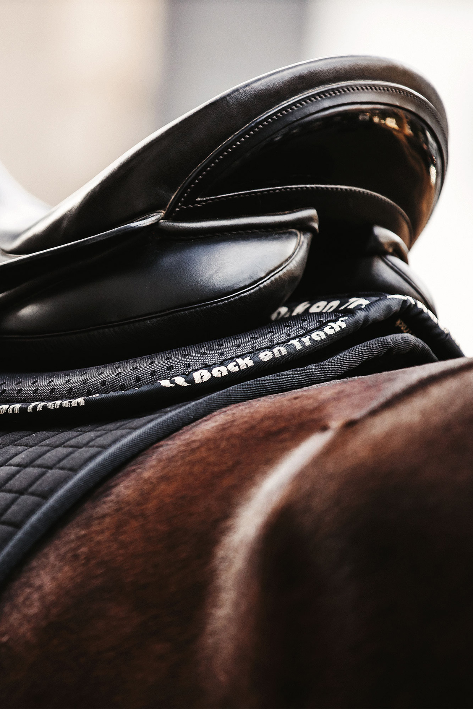 Back on Track Aurora Impact Half Pad