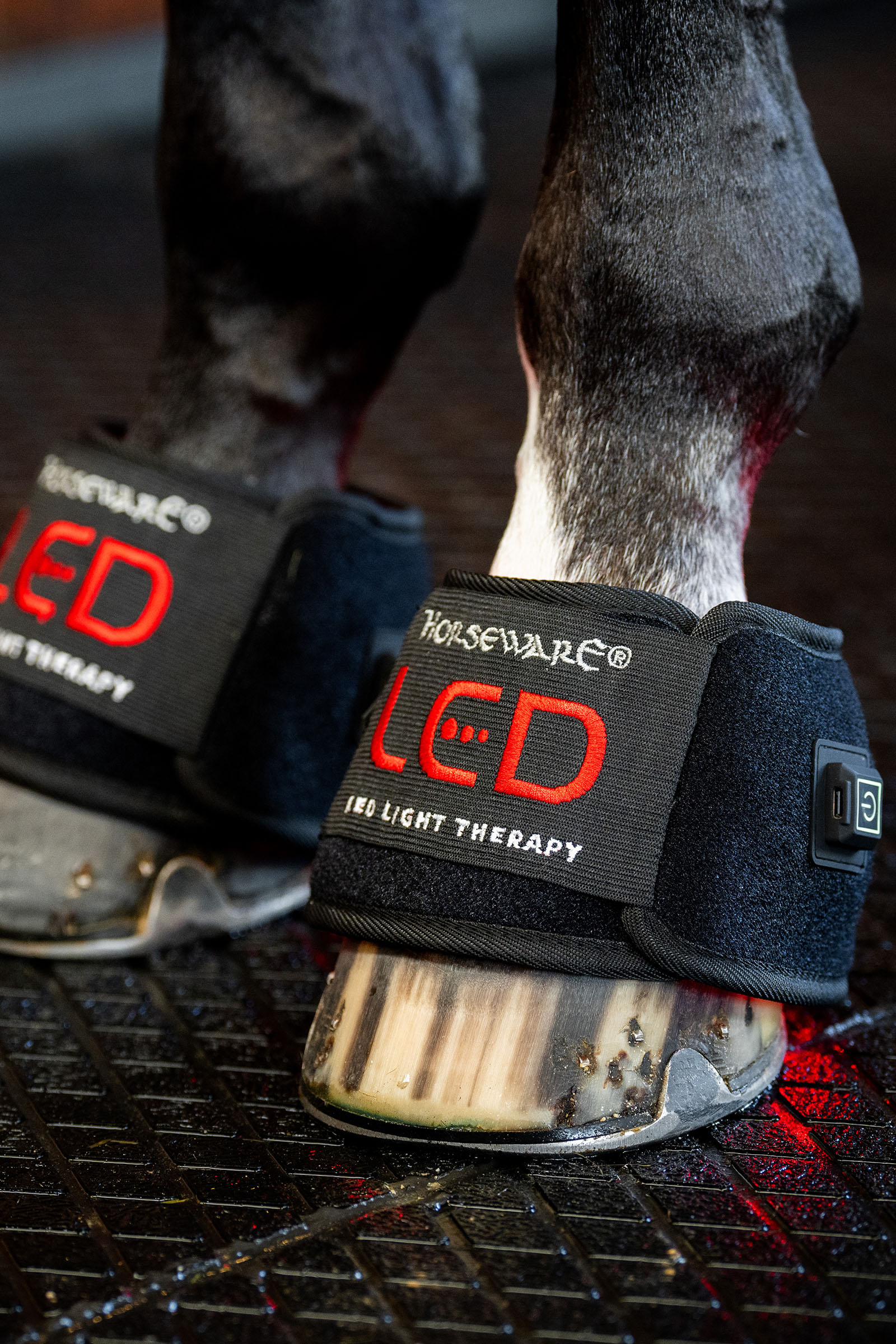 Horseware LED Red Light Therapy Mini Leg Wrap (1 pc.)