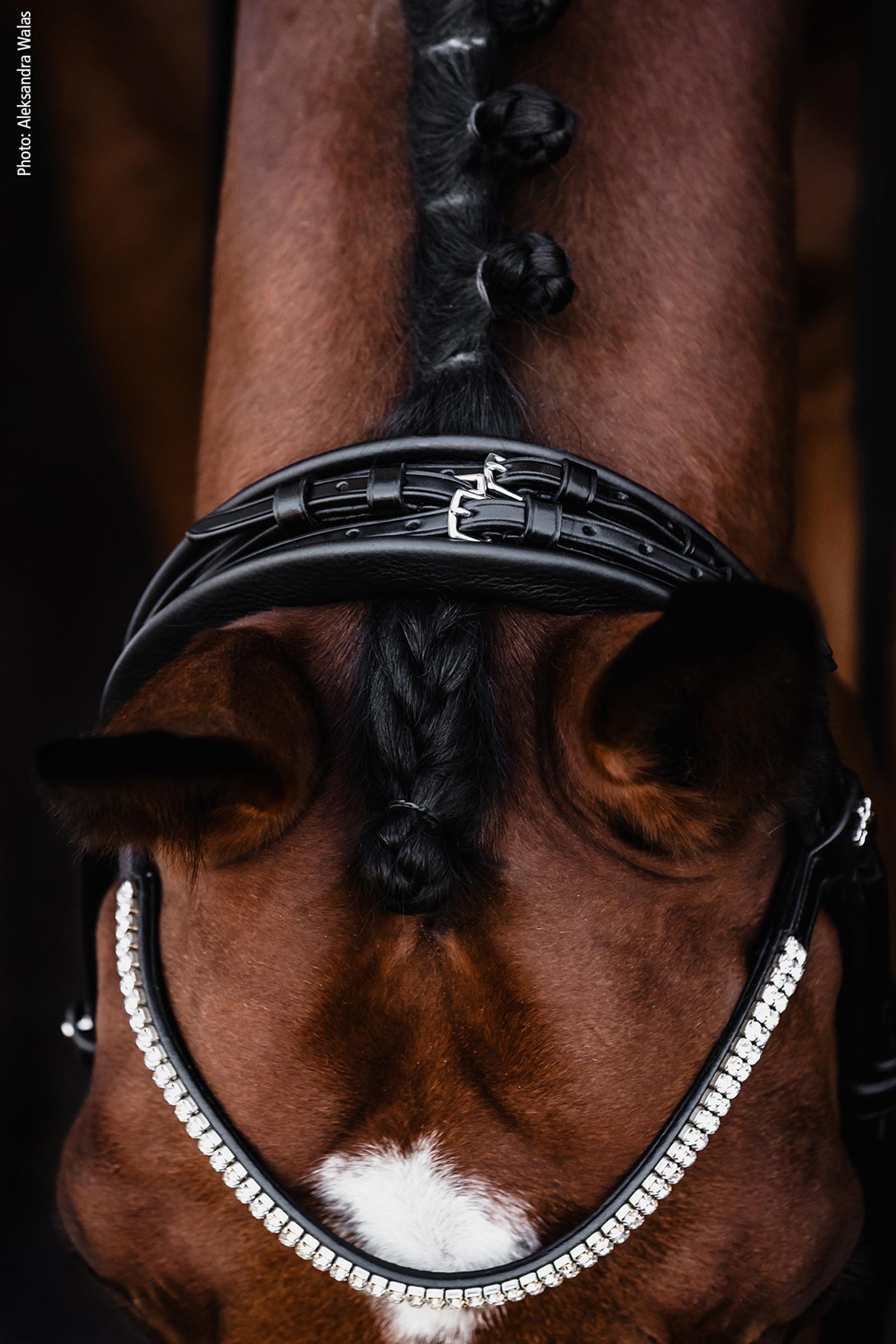 Schockem&ouml;hle Sports Bella Rose Double Bridle - Isabell Werth Collection