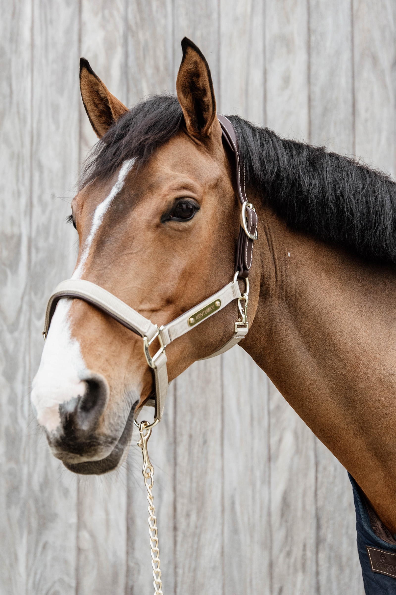 Kentucky Horsewear Anatomic Nylon Halter