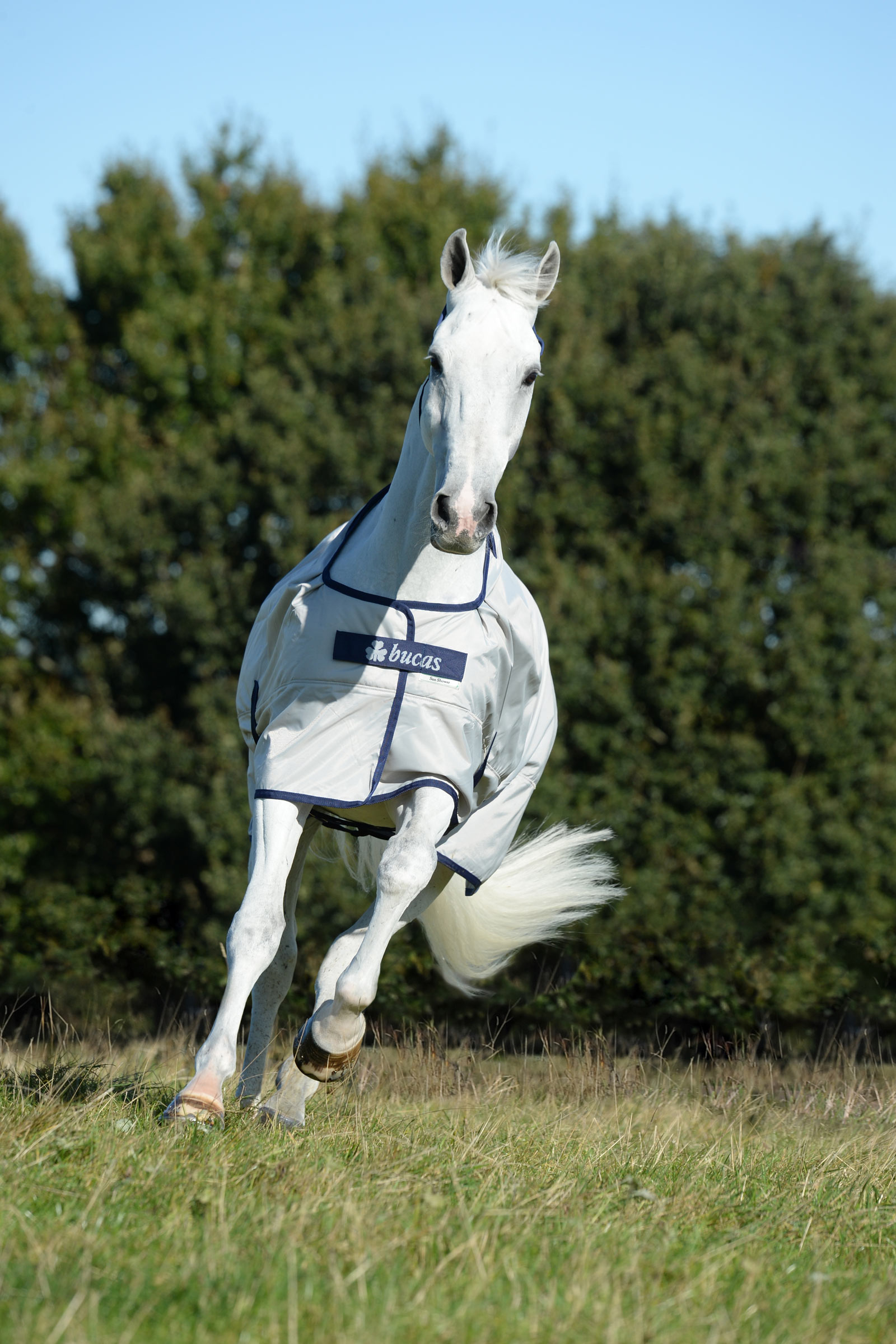 Bucas Sun Shower Turnout Rug, 0g