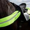 Horze Reflective Harness