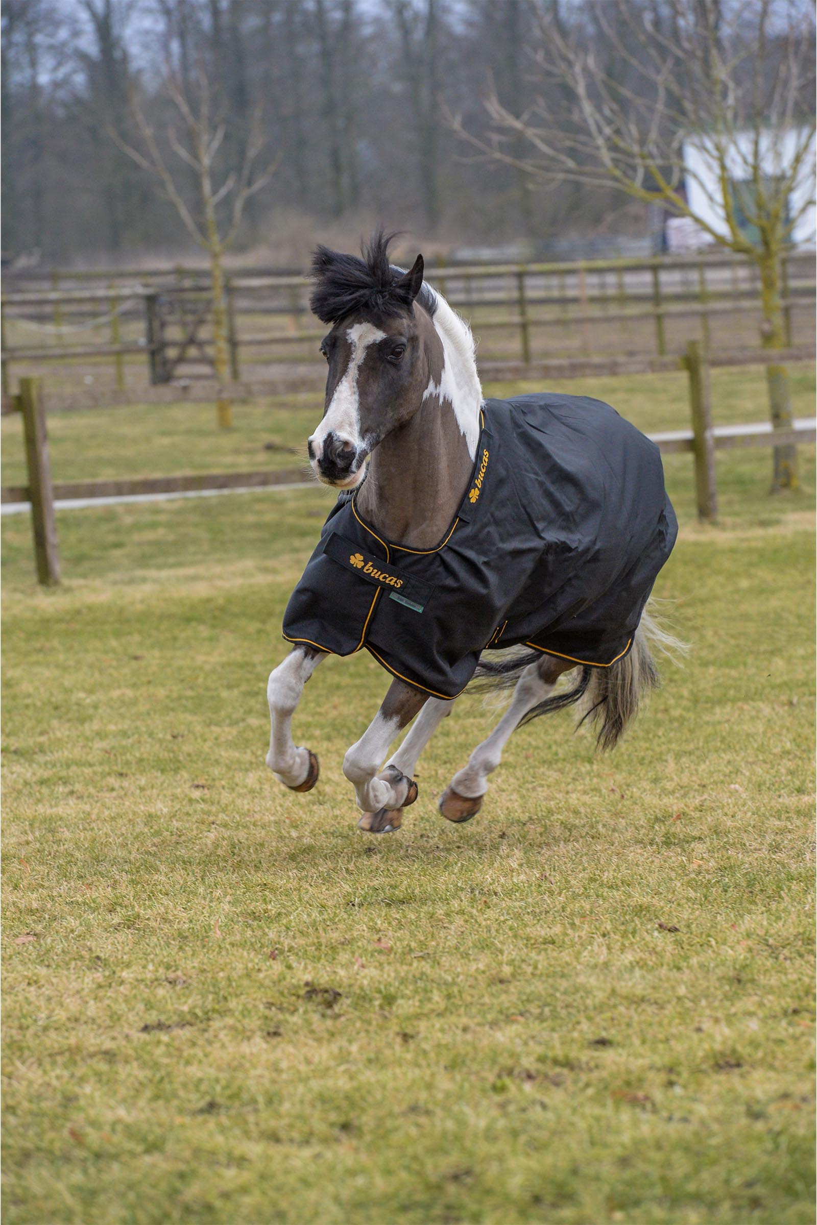 Bucas Irish Turnout Rug, 100 g