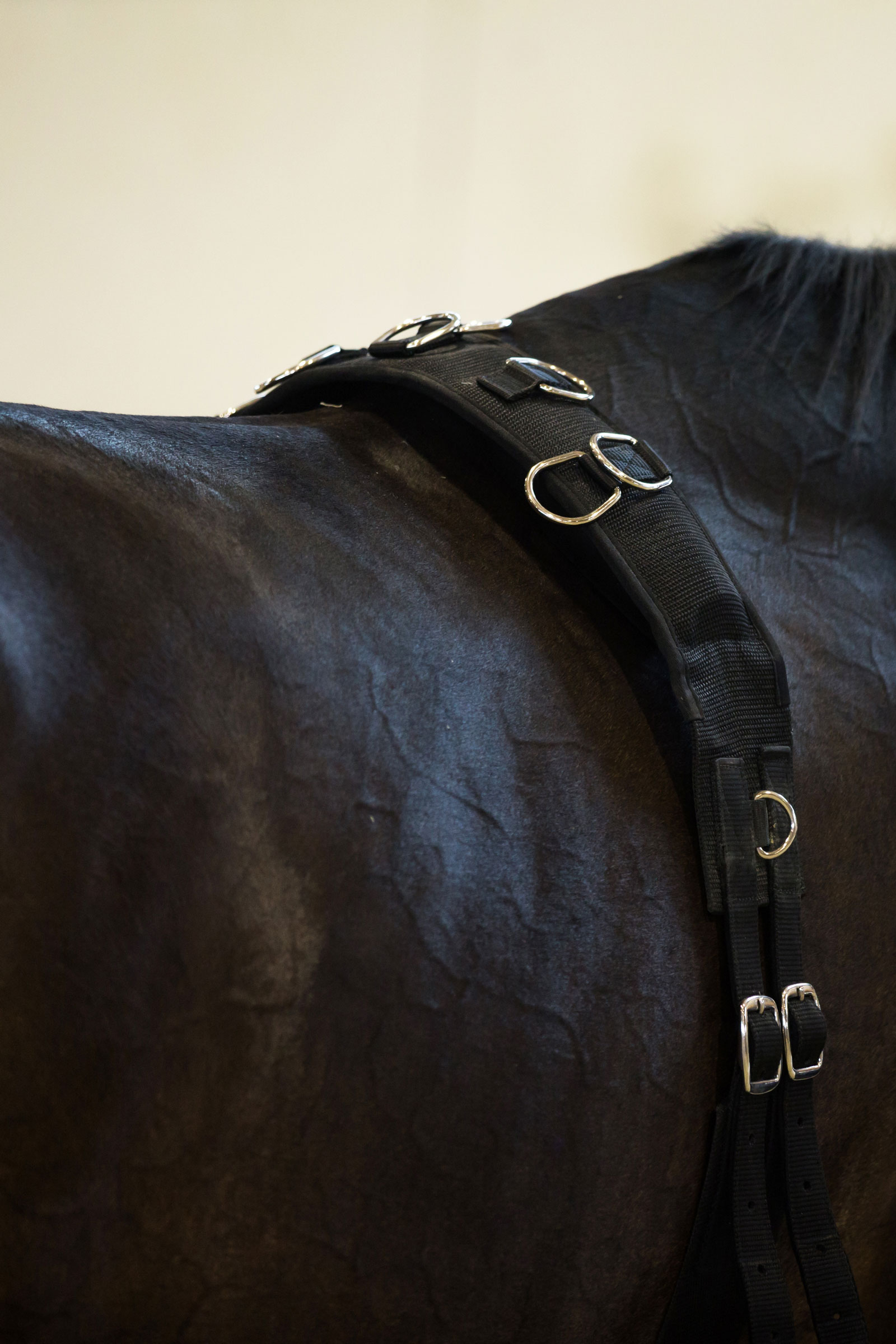 Horze Lunging Girth, Nylon