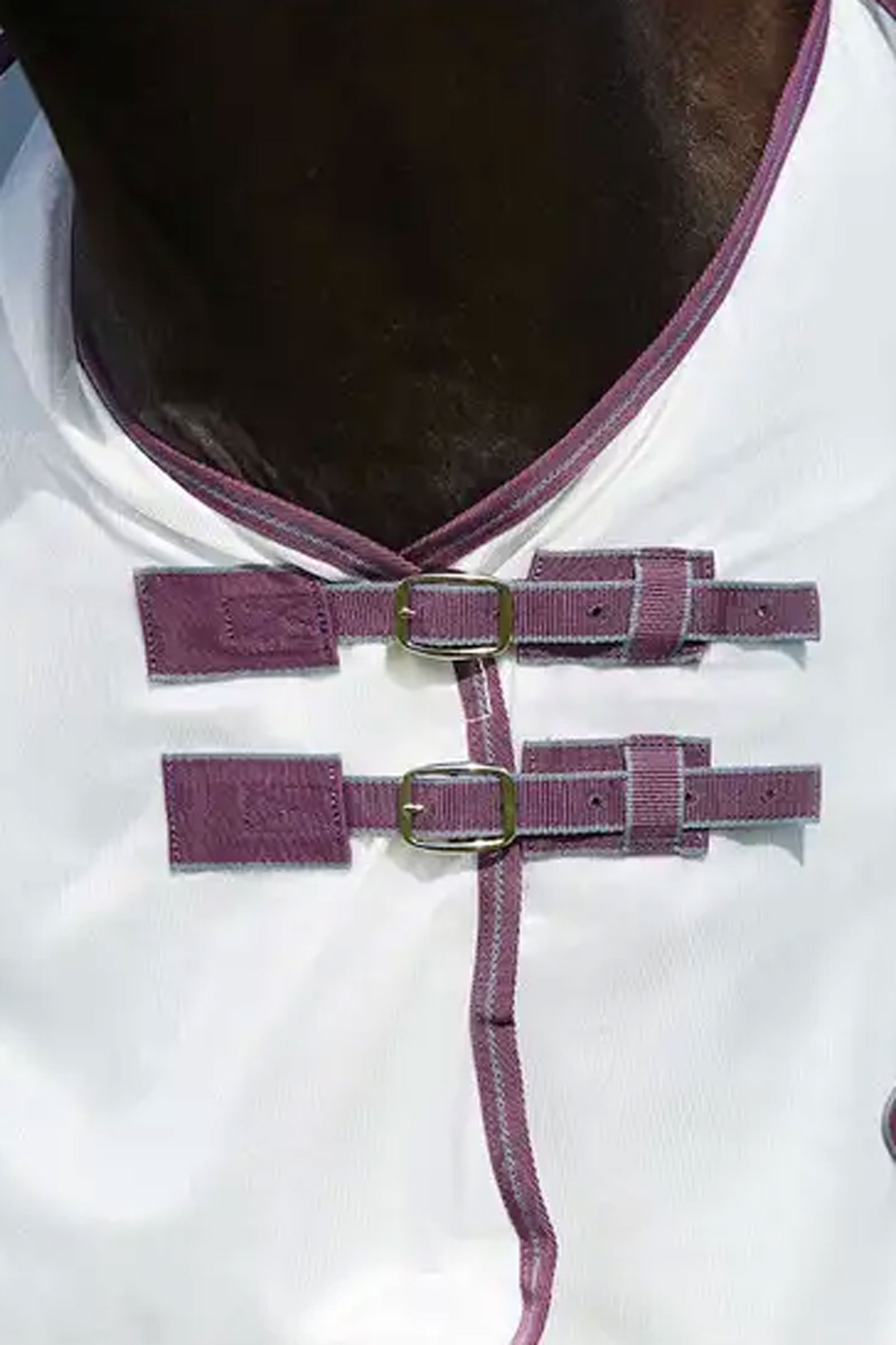 Weatherbeeta Comfitec Essential Mesh II Fly Rug with Fixed Neck