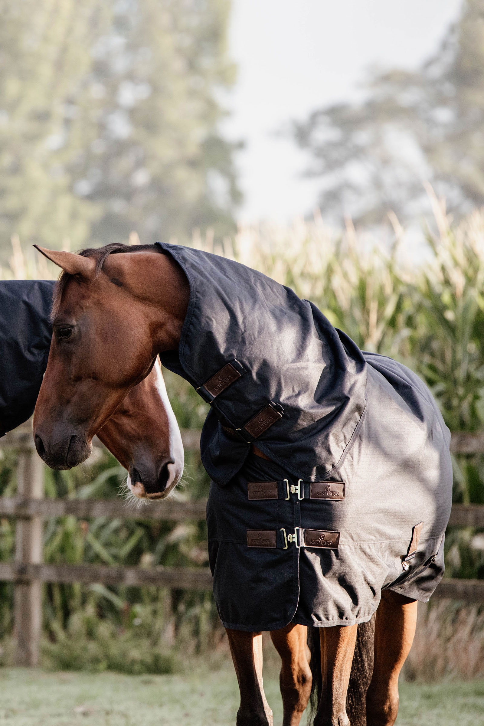 Kentucky Horsewear All Weather Waterproof Classic Turnout Rug, 0g