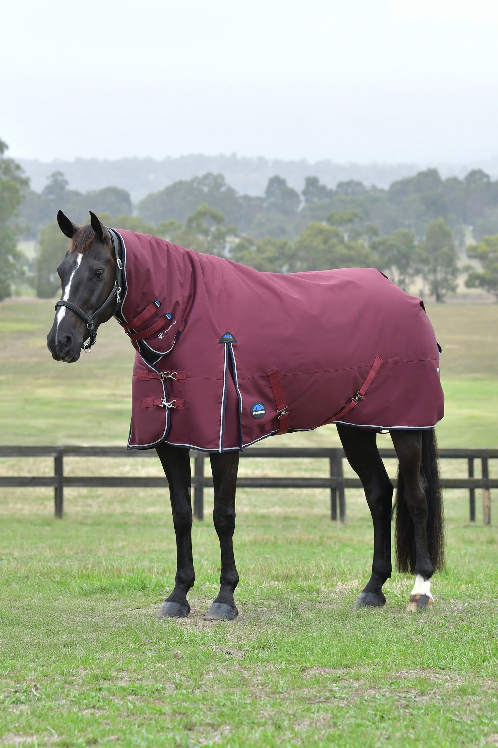 Burgundy/Navy Weatherbeeta Comfitec Essential Turnout Rug With Fixed Neck, 220g