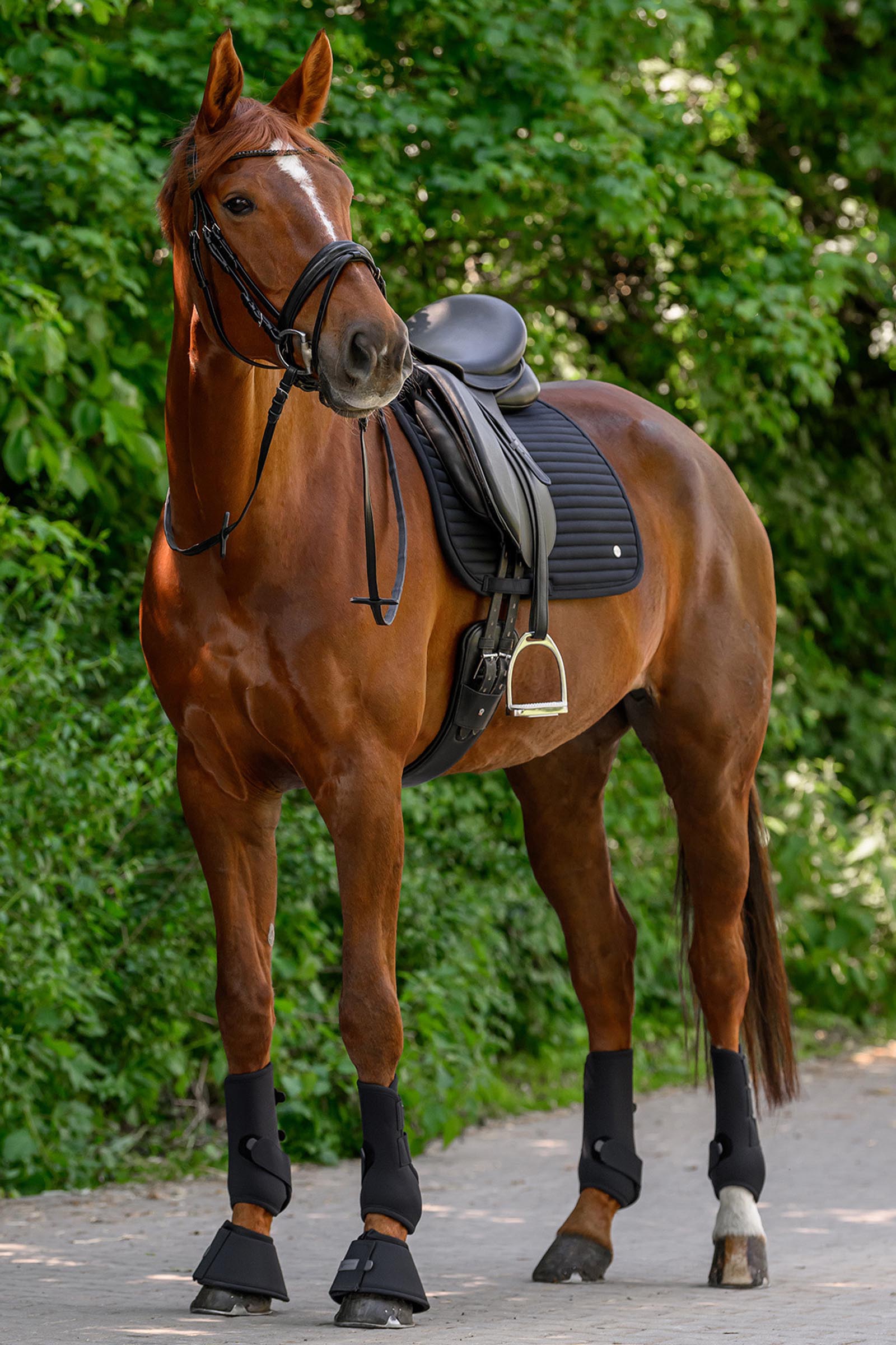 Waldhausen Trinidad Dressage Saddle Pad
