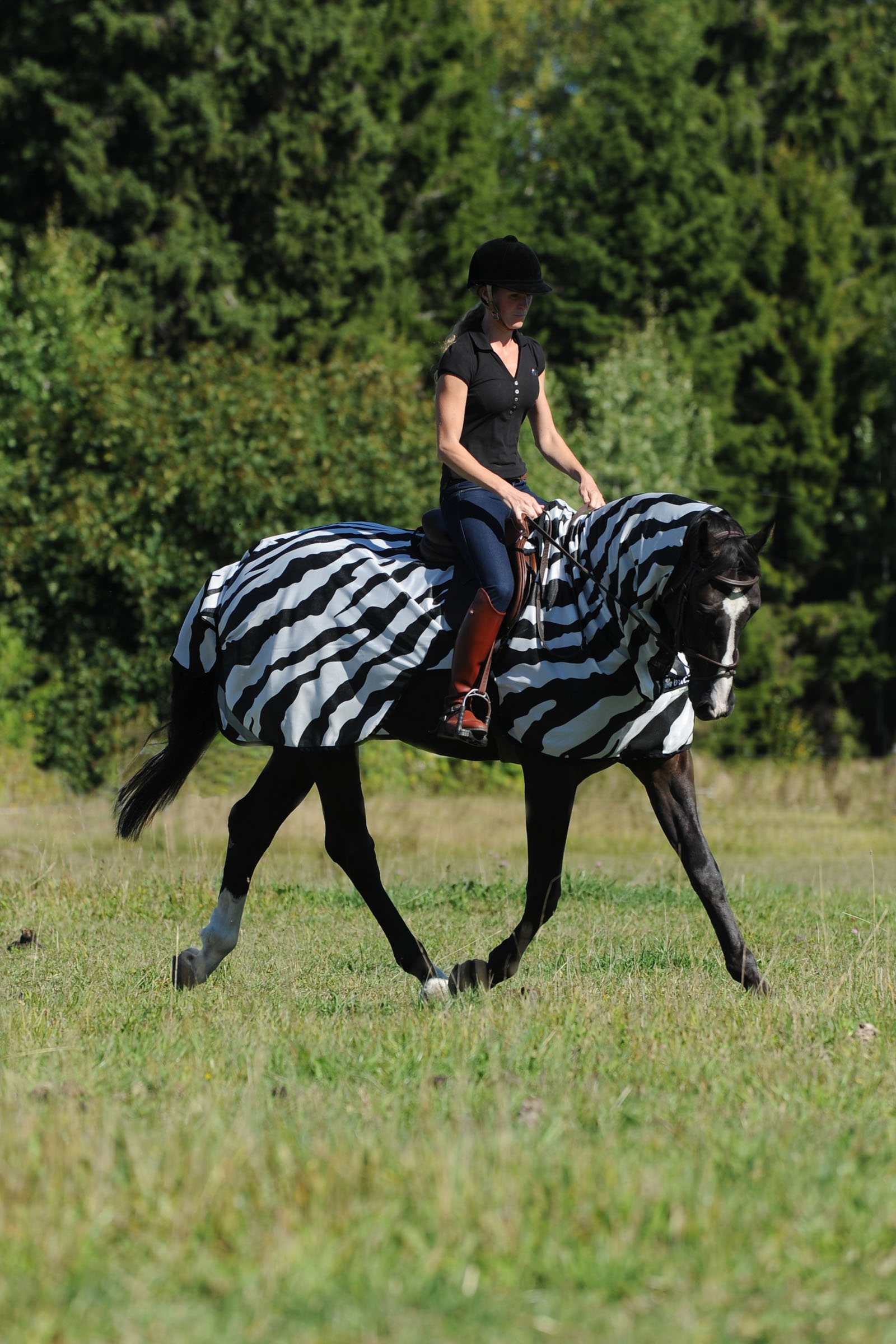 Bucas Buzz-Off Zebra Fly- and Riding Rug
