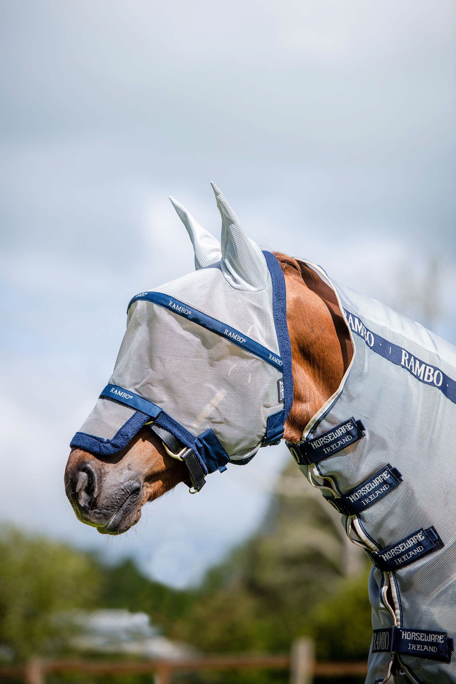 Silver/Dark Blue Horseware Rambo Flymask