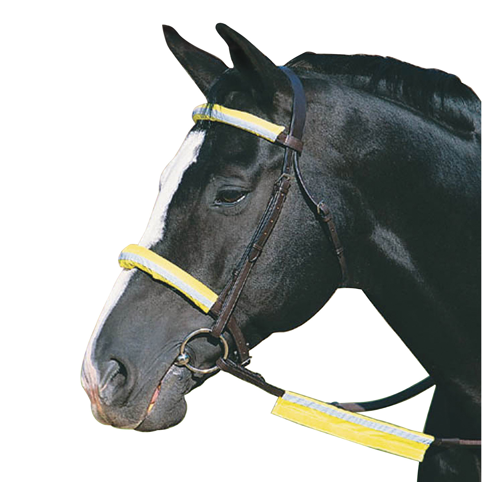 Roma Reflective Bridle Kit