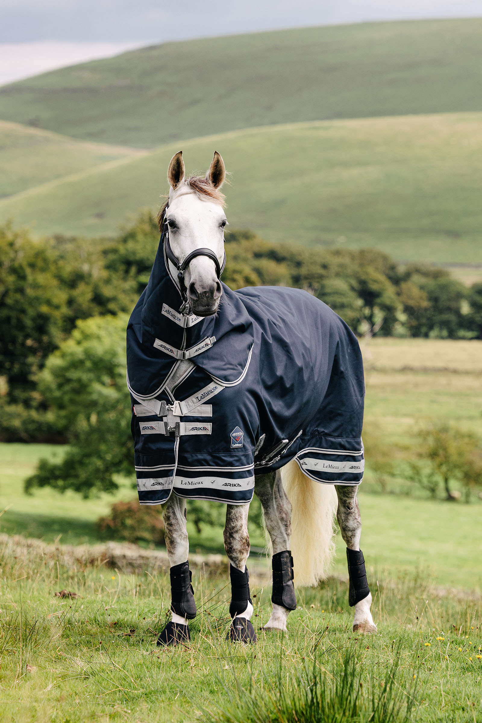 LeMieux Arika Storm-Tek Rug, 50 g