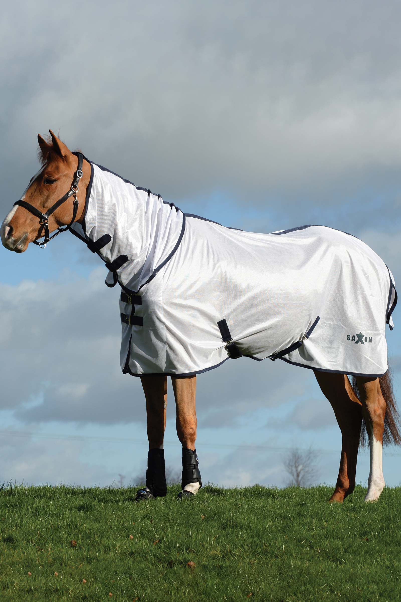 Saxon Mesh Combo Rug with Fixed Neck