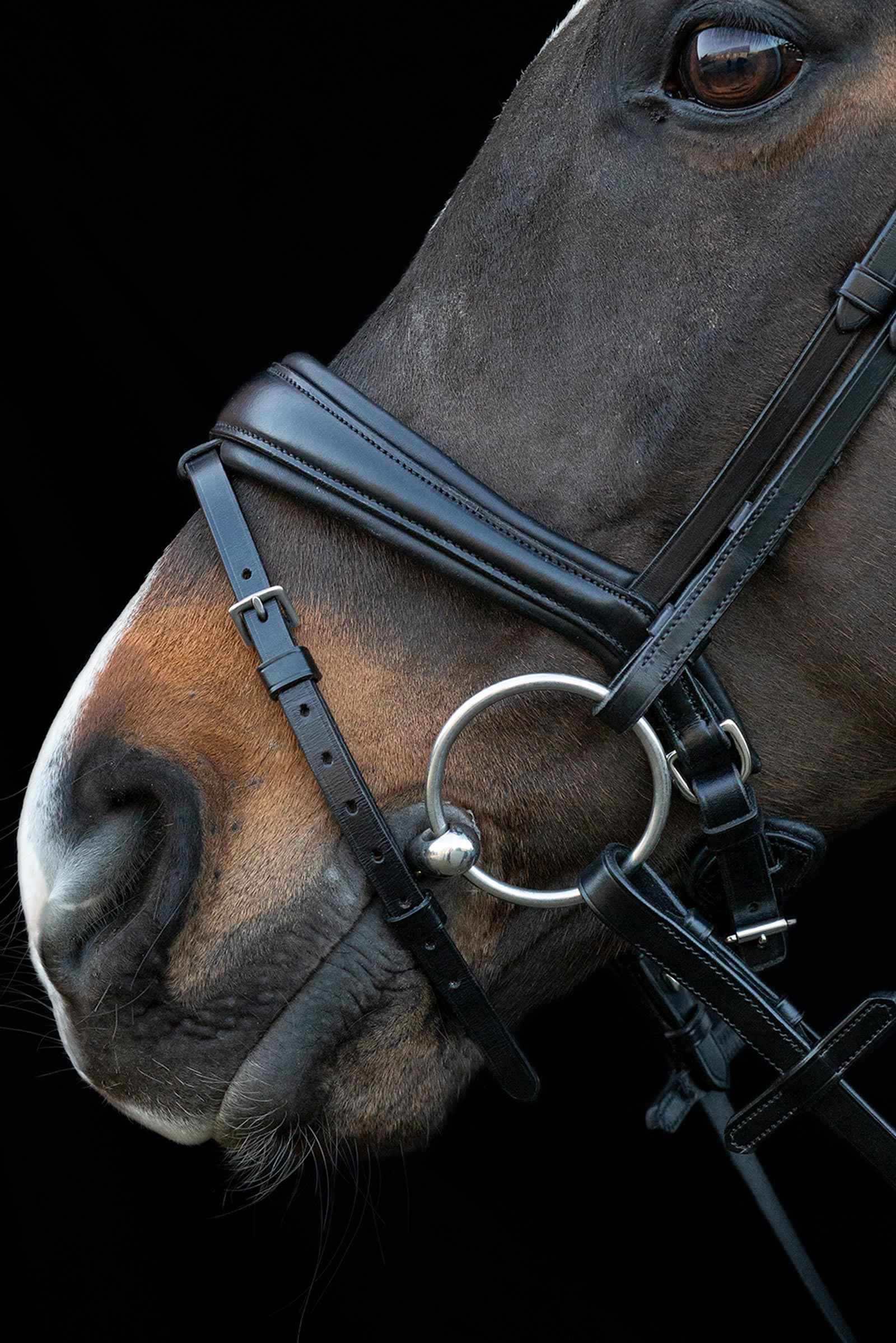 Schockemöhle Sports Charleston Bridle