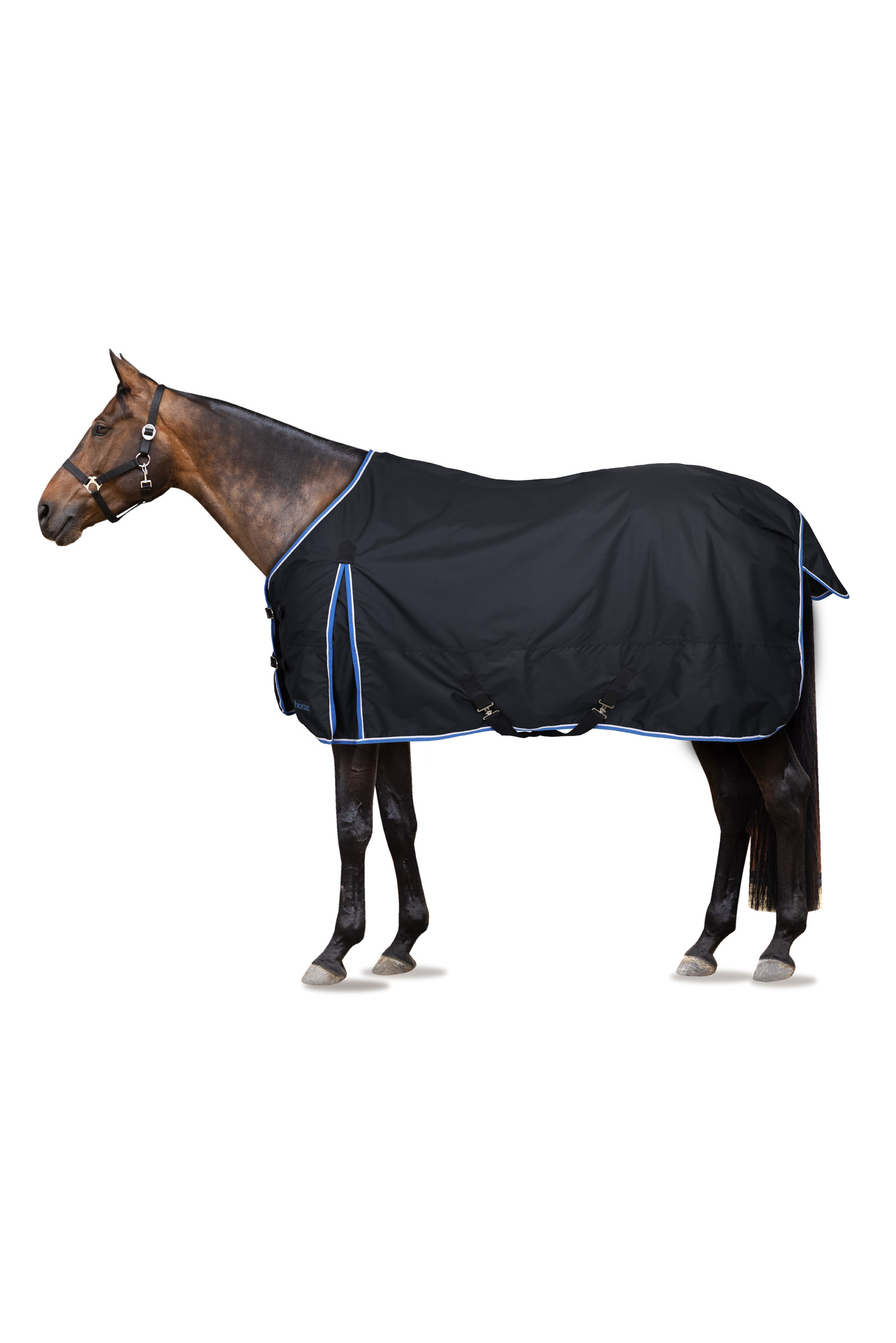 Horze Glasgow Turnout Rug, 100g