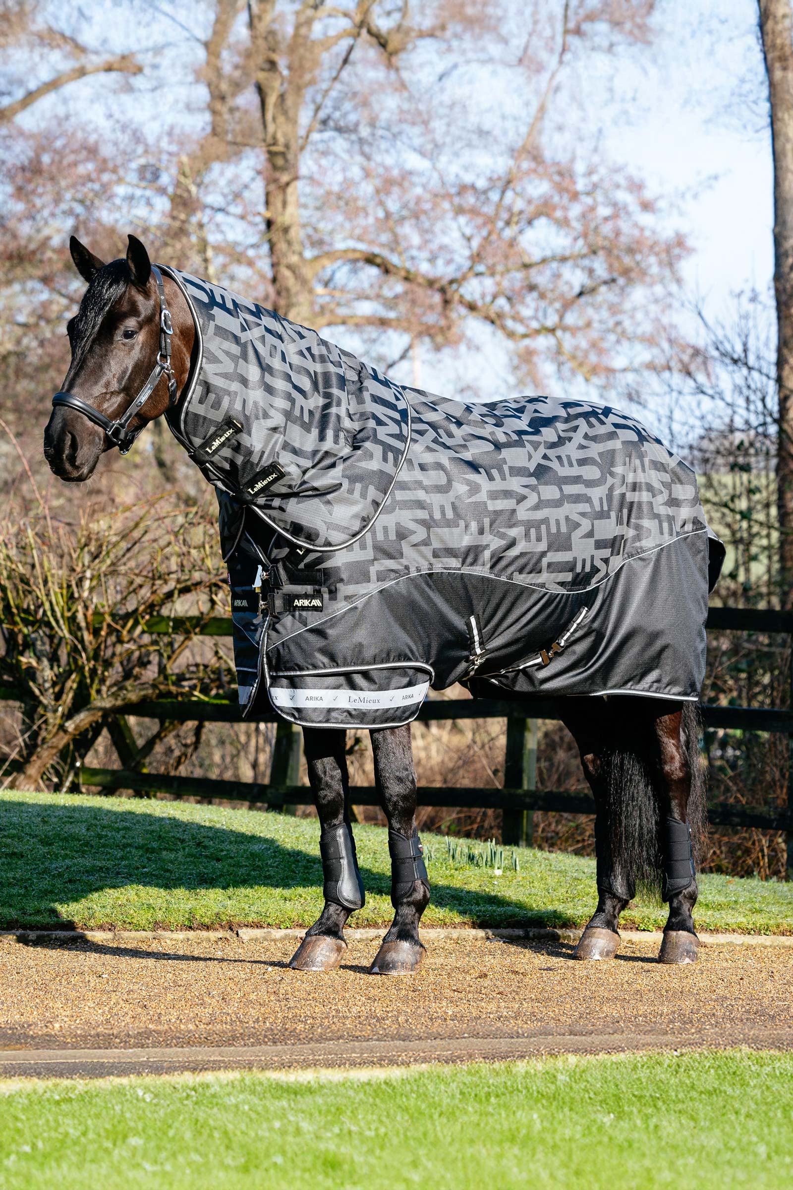 LeMieux Arika Reflective Turnout Rug With Detachable Neck, 200 g